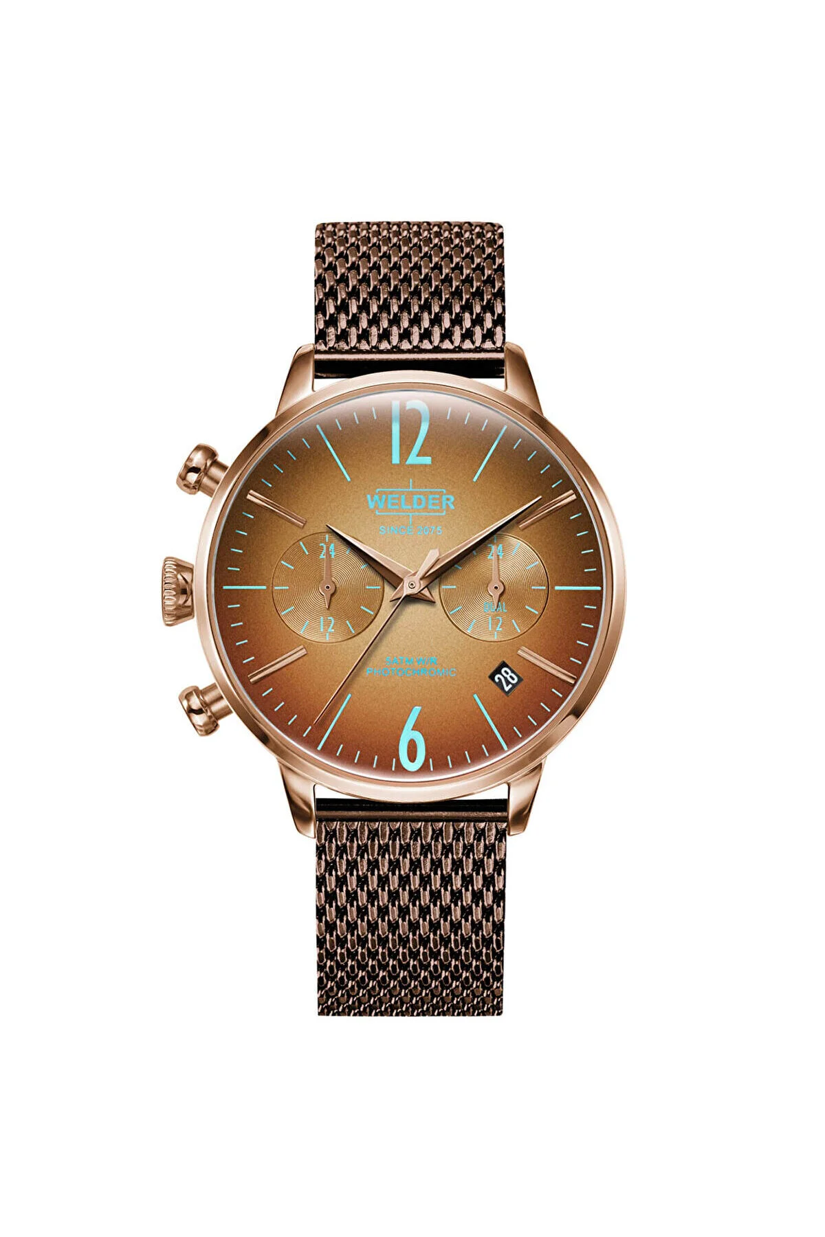WWRC643 38 mm Kadın Kol Saati