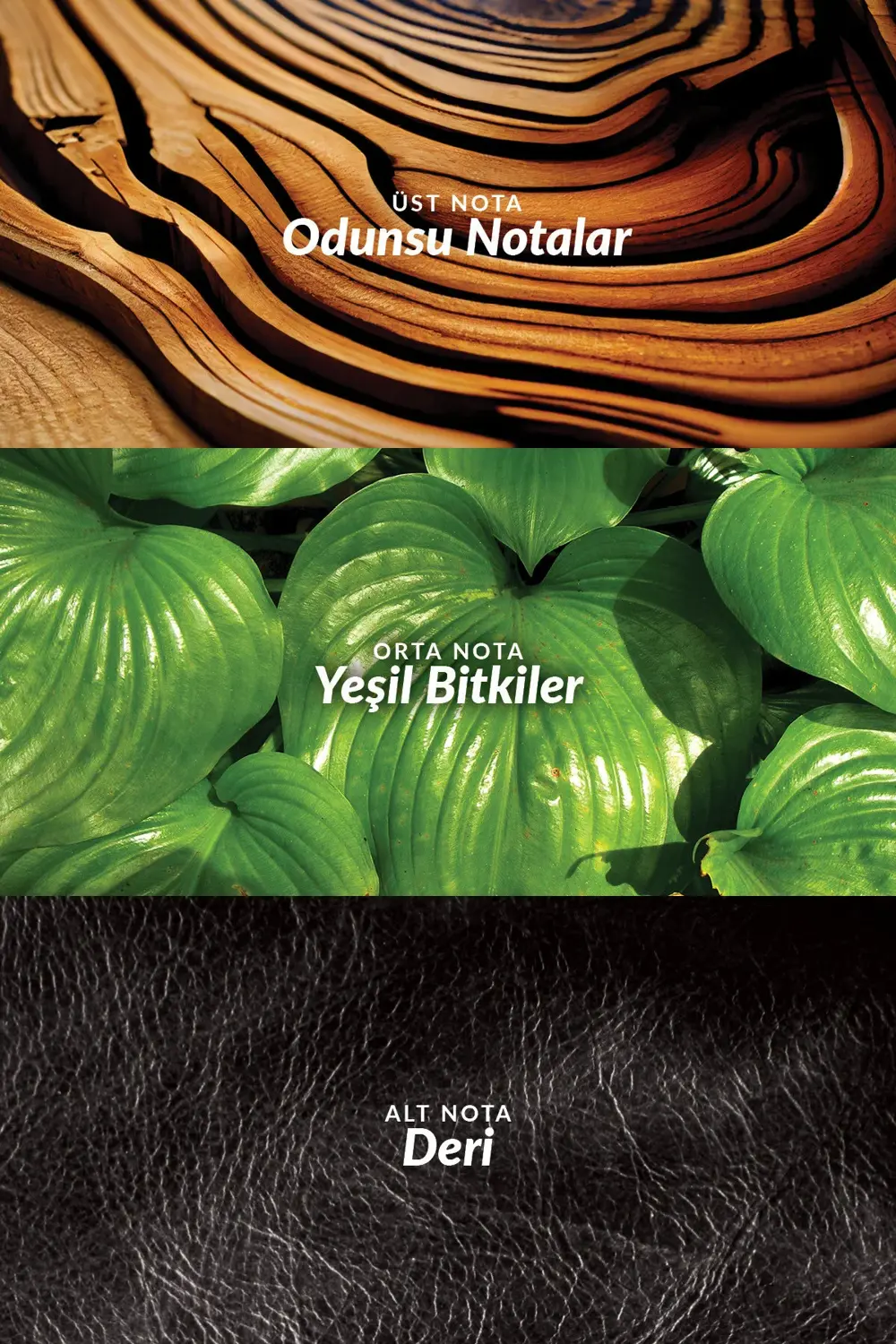 Xaura Global X Pain 25’li Transdermal Bant - Gün Boyu Rahatlama