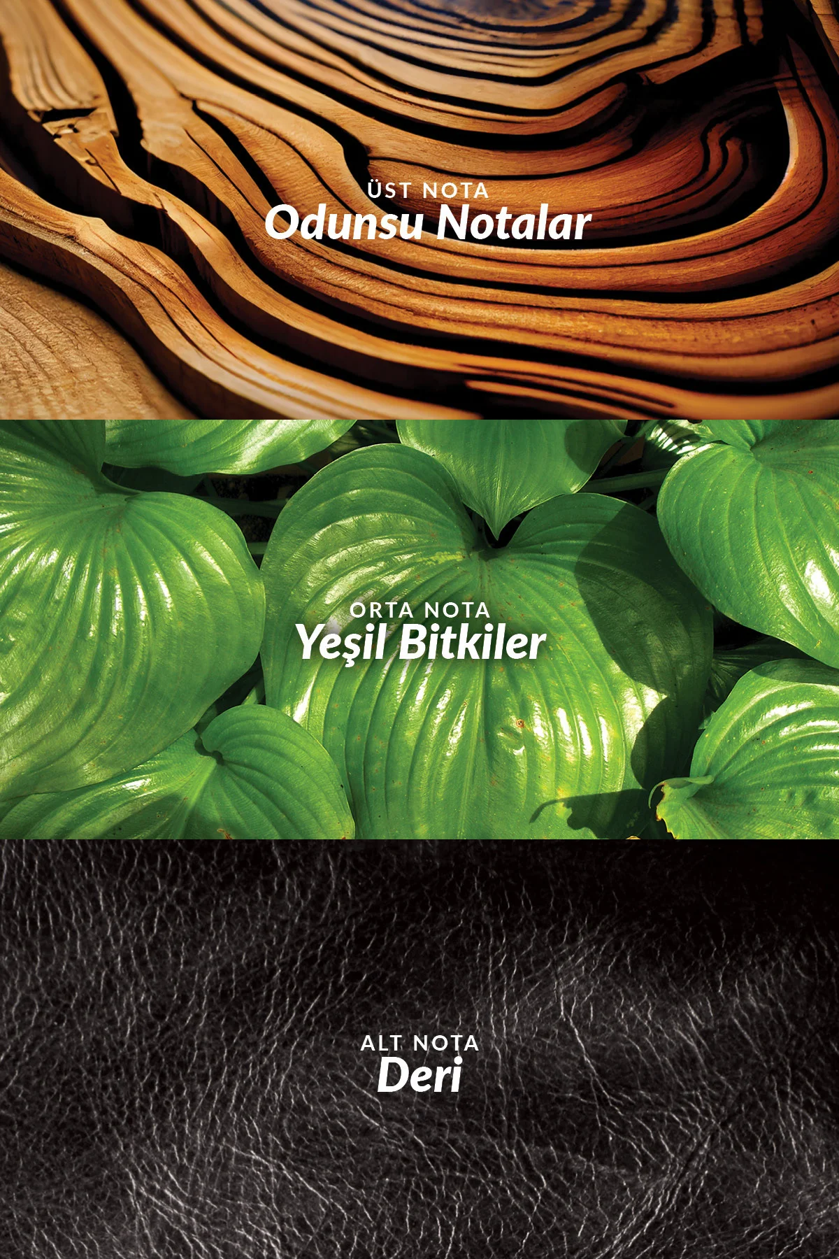 Xaura Global X Pain 25’li Transdermal Bant - Gün Boyu Rahatlama
