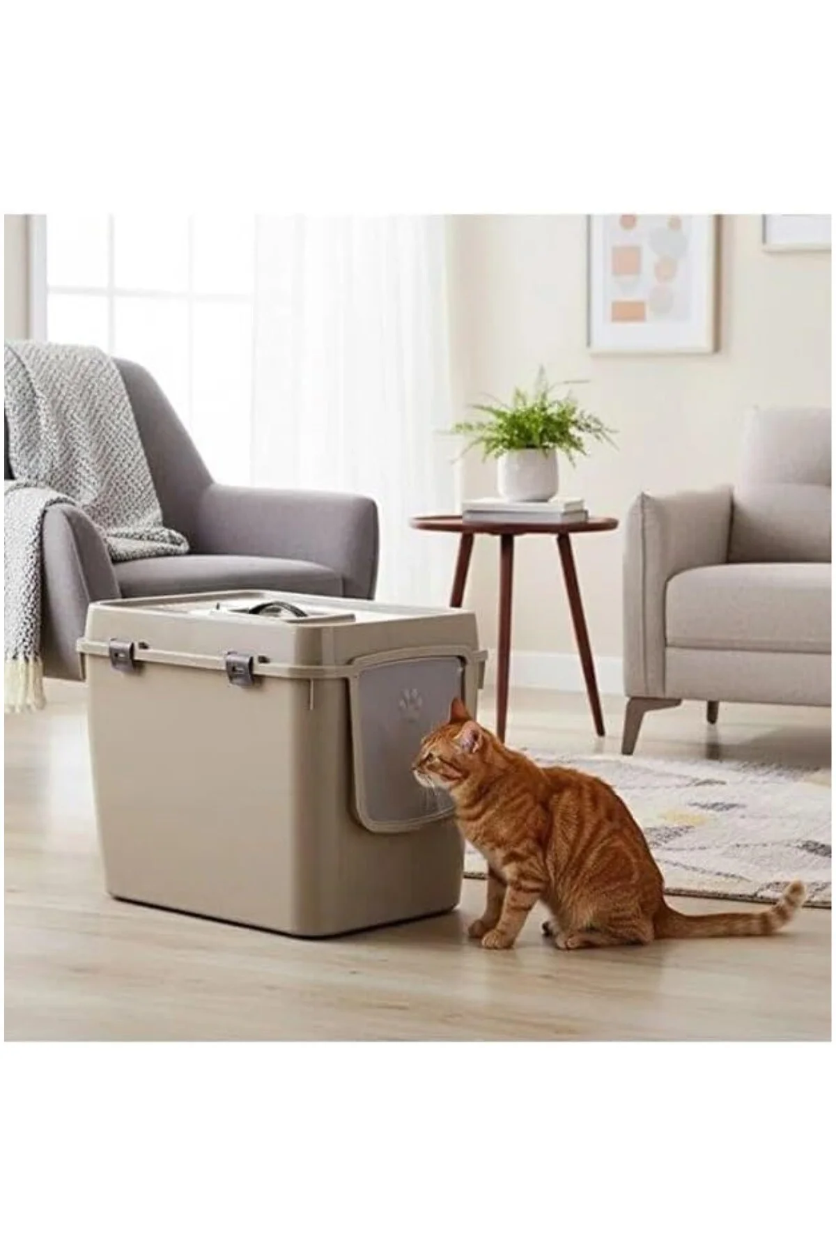 XL Kapalı Kedi Tuvaleti XXL 57x39x43 Bej