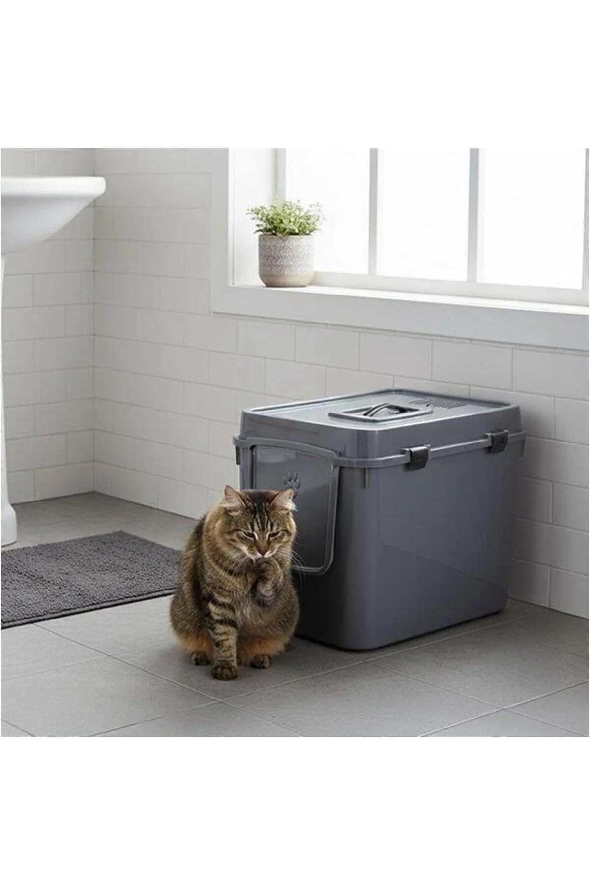 XL Kapalı Kedi Tuvaleti XXL 57x39x43 Gri