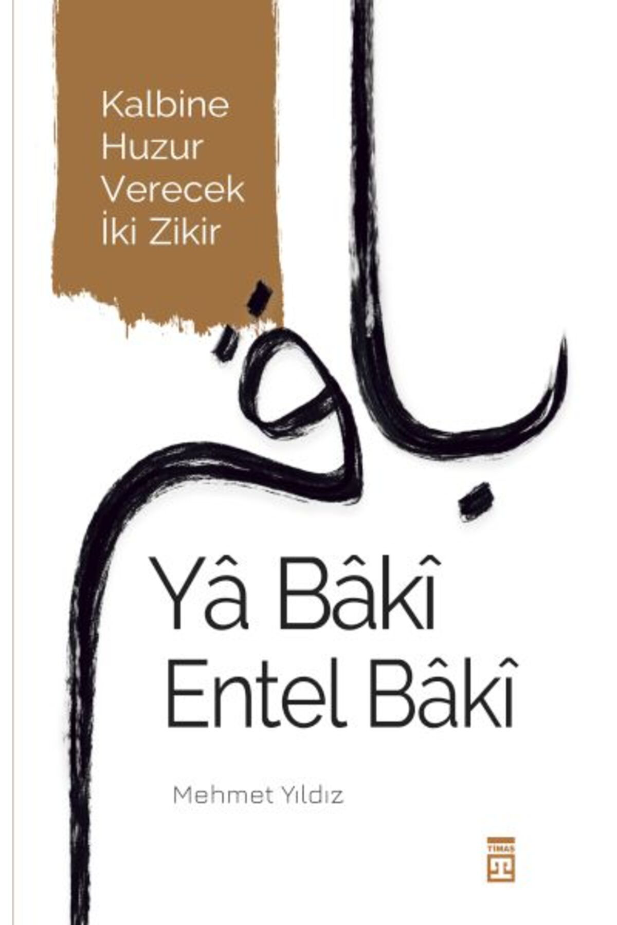 Destek Yayınları Y Bk Entel Bk