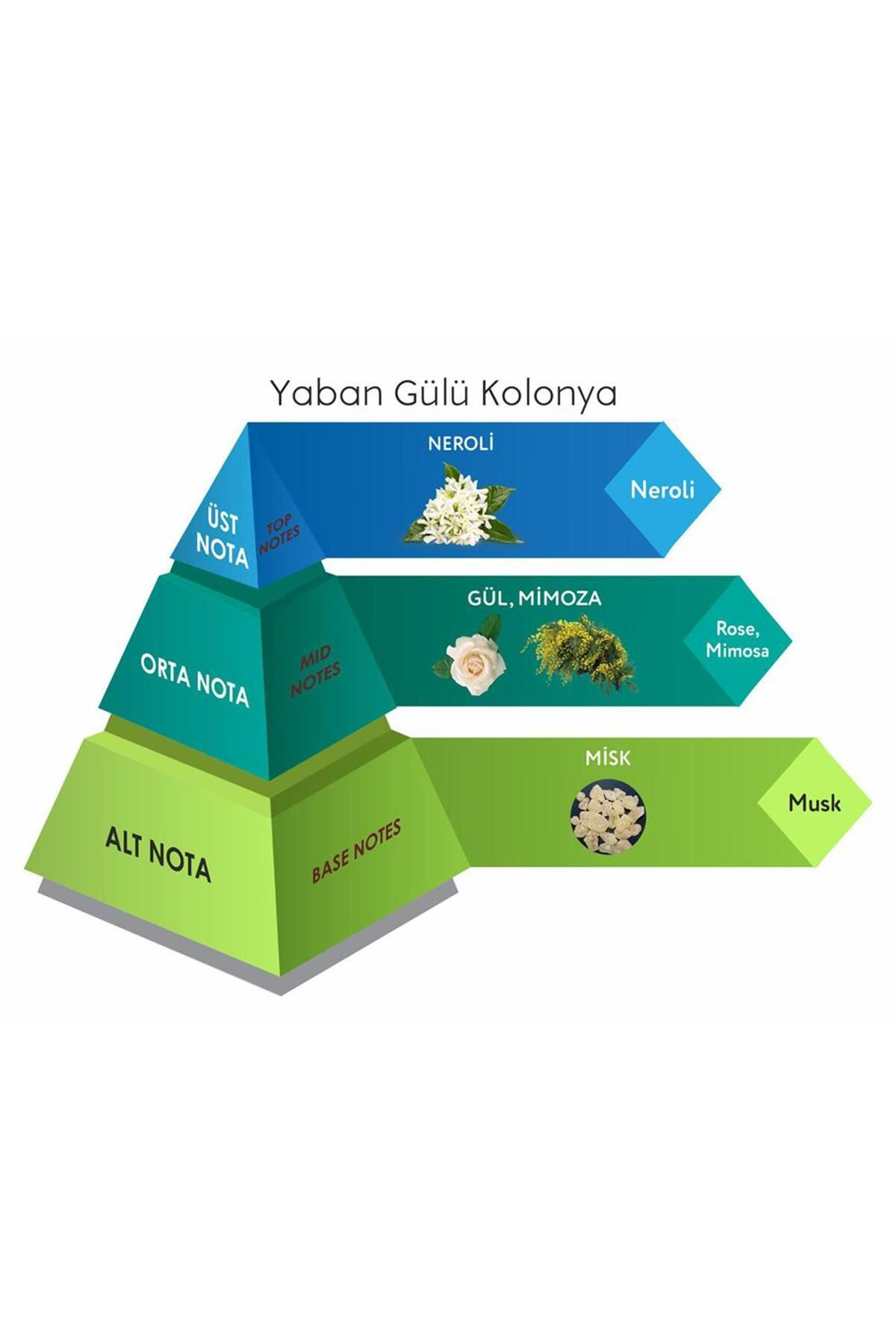 Venilia Yaban Gülü Cep Boy Kolonya Eau De Cologne 30 Ml