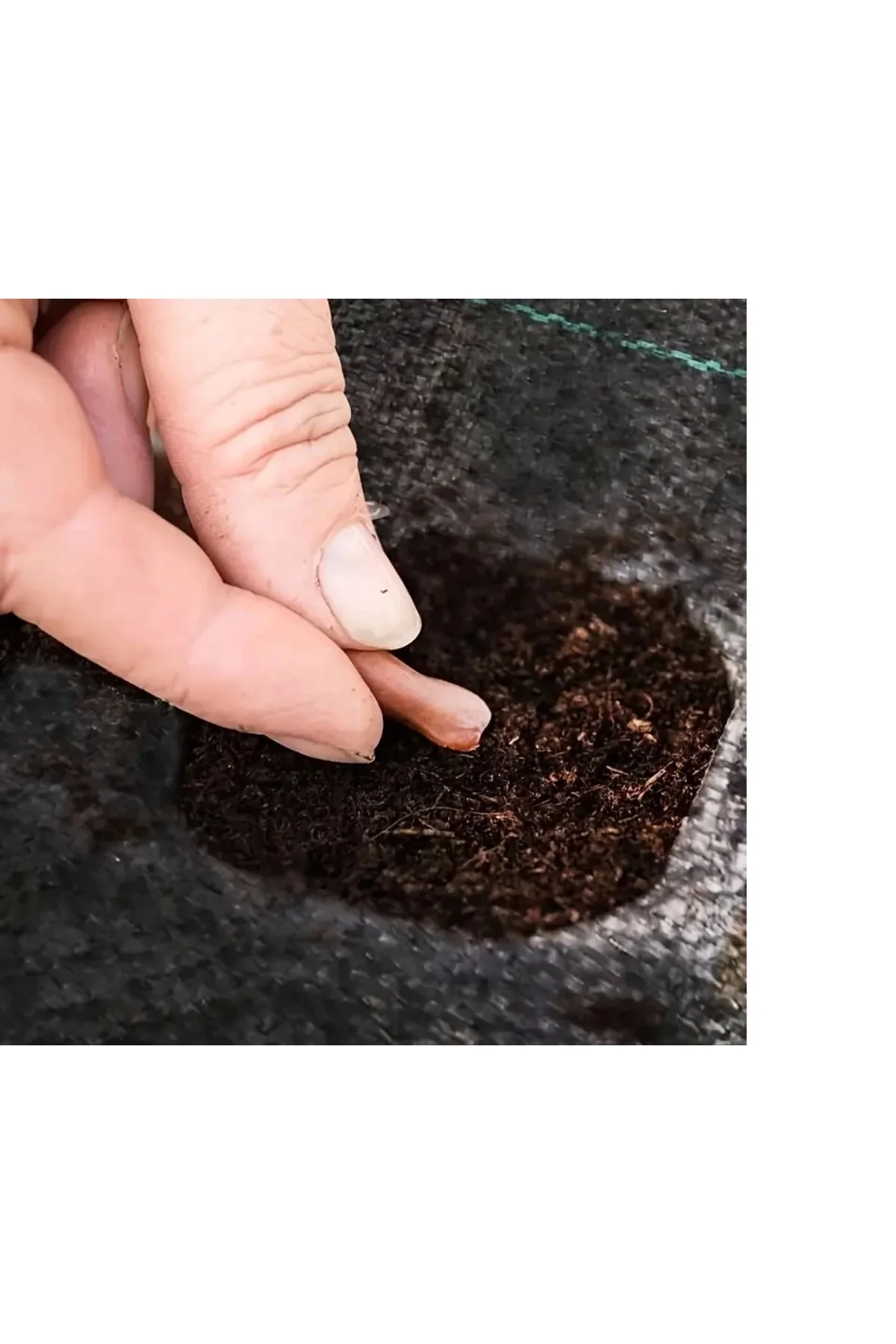 Yabani Ot Bariyer Matı - Lisinya