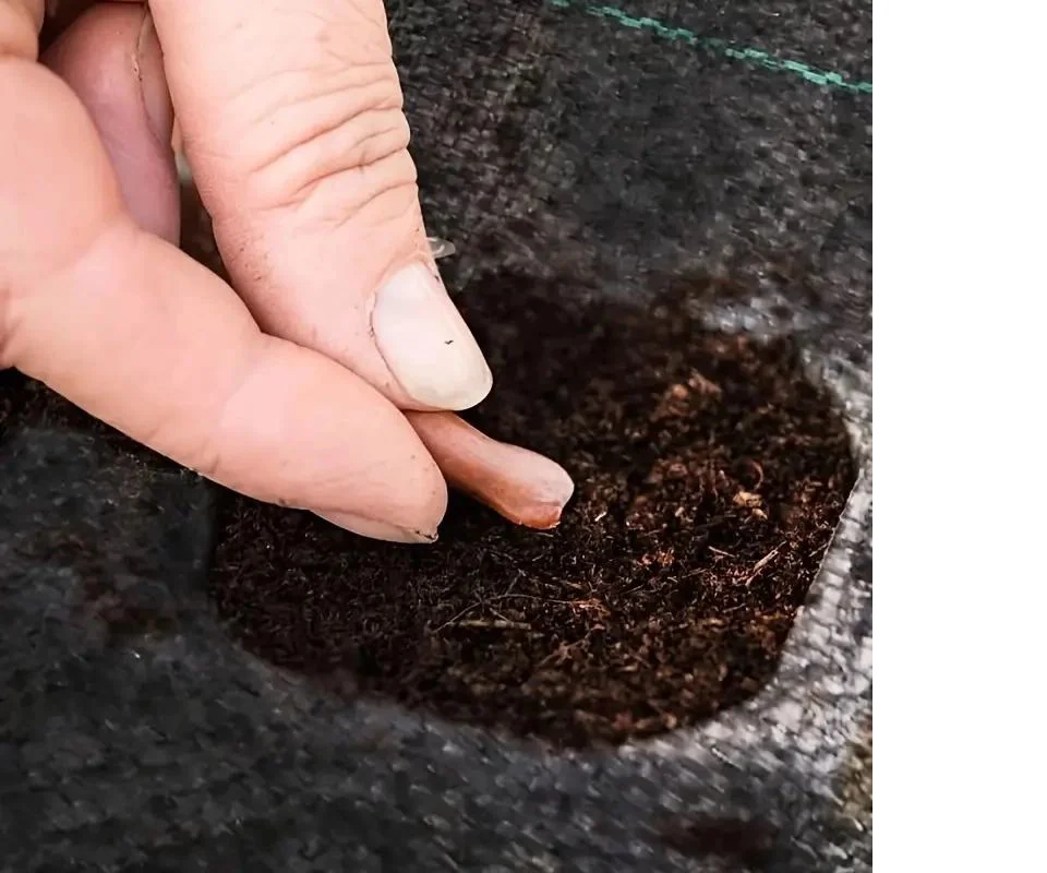 Yabani Ot Bariyer Matı - 60x60 Çim Önleyici Bezi | Bahçe ve Sera İçin Etkili Yabani Ot Kontrolü Fiyatı, Yorumları ve Özellikleri