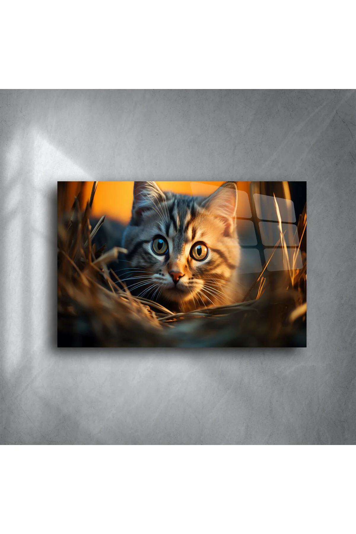 Yakın Plan Kedi Temalı Cam Tablo Yakın Plan Kedi Temalı Cam Tablo