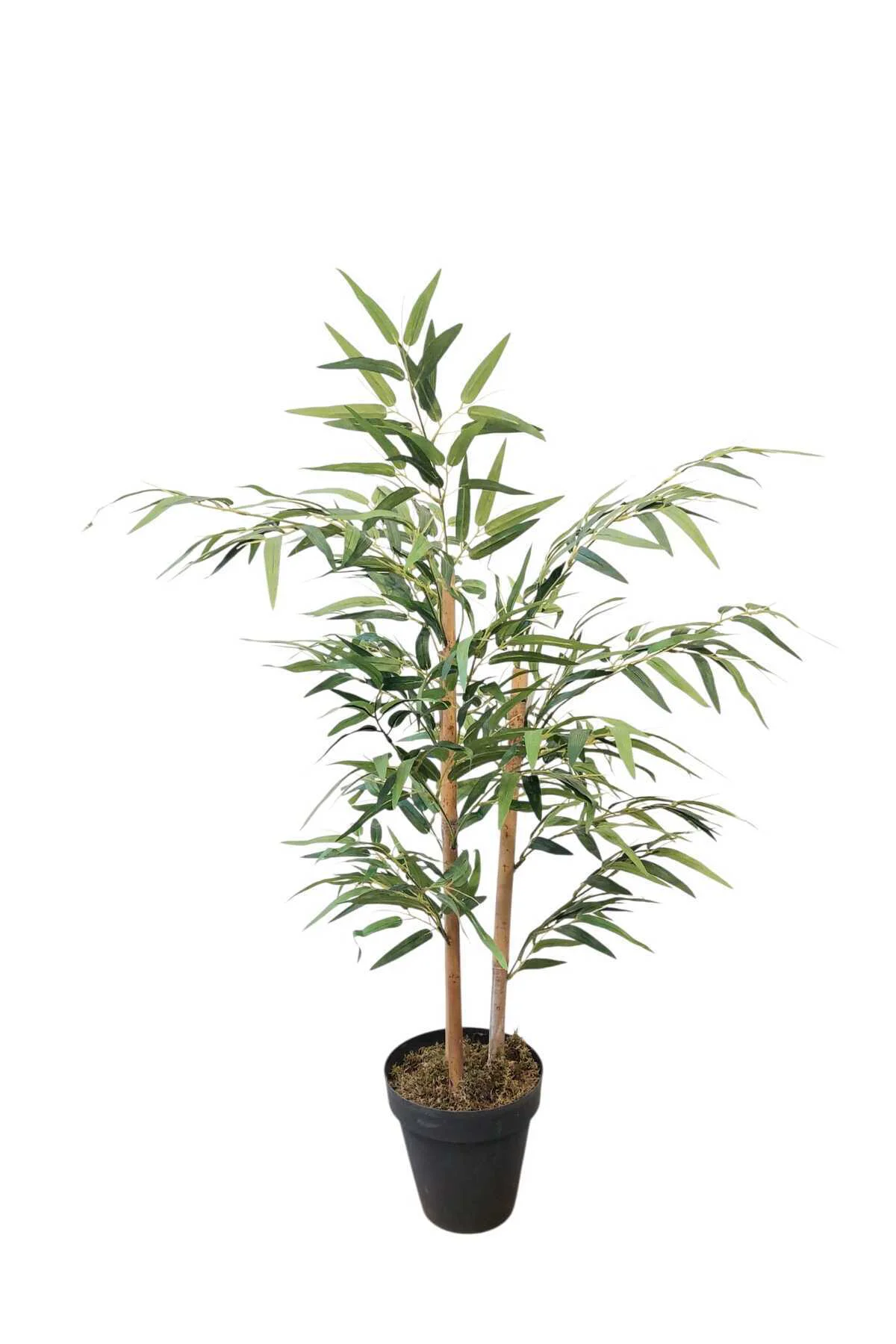 Yapay Ağaç Bambu 110 Cm 3 Gövdeli - Görsel 5