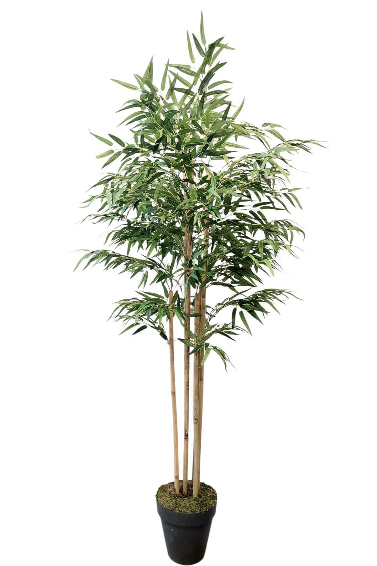 Yapay Ağaç Lüks Bambu Salon Bitkisi 6 Gövdeli 180 Cm