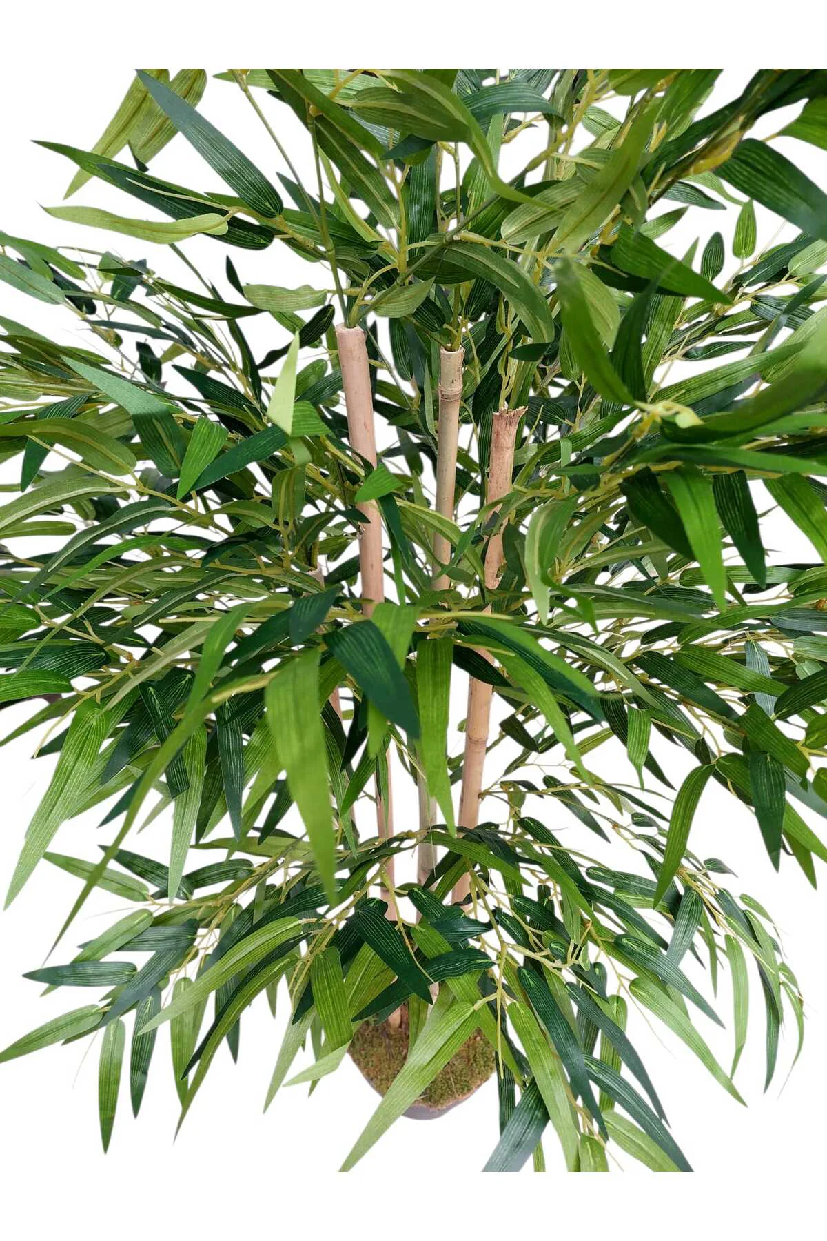 YAPAY BAMBU 6 GÖVDELİ LÜKS YAPRAKLI 160 CM BOYUNDA DEKORATİF MODE