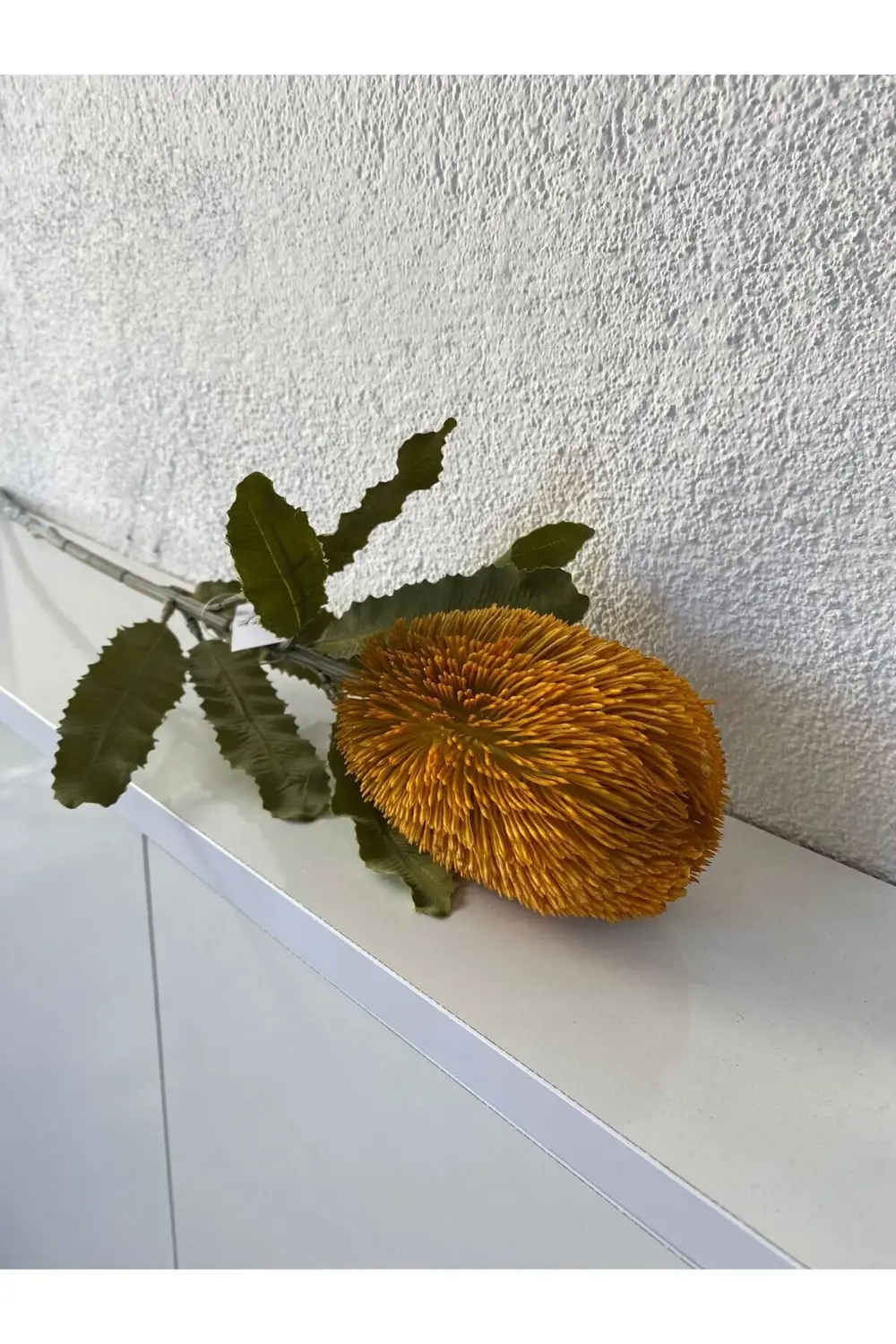 Yapay Banksia Çiçek Tek Dal 65 Cm