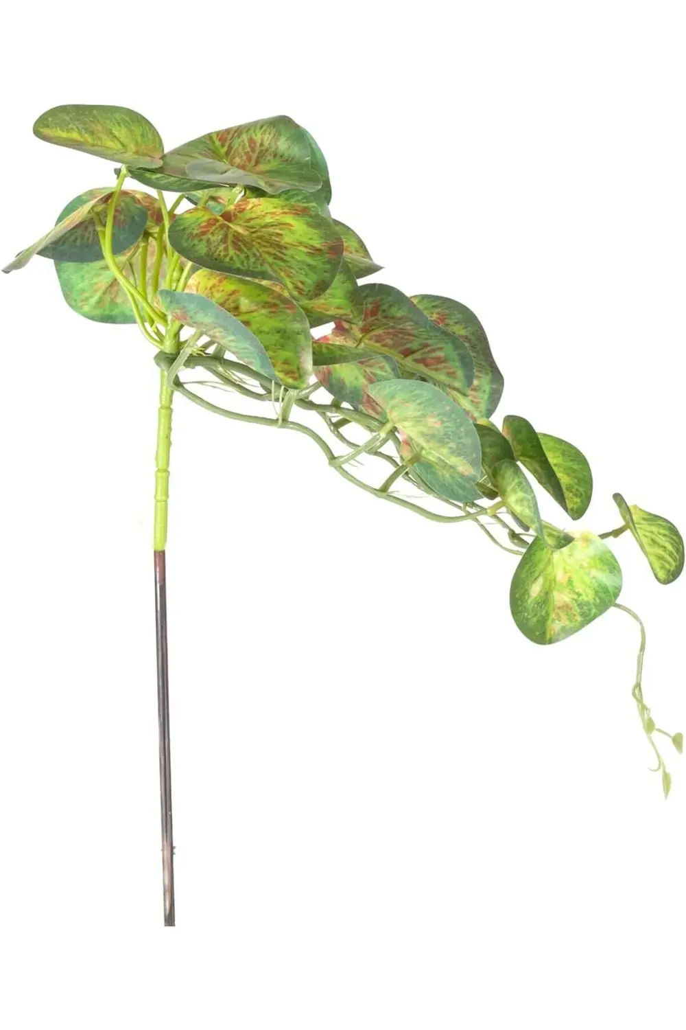 Yapay Bitki Salon Sarmaşığı Kızıl-Yeşil 35 Cm. 1200752