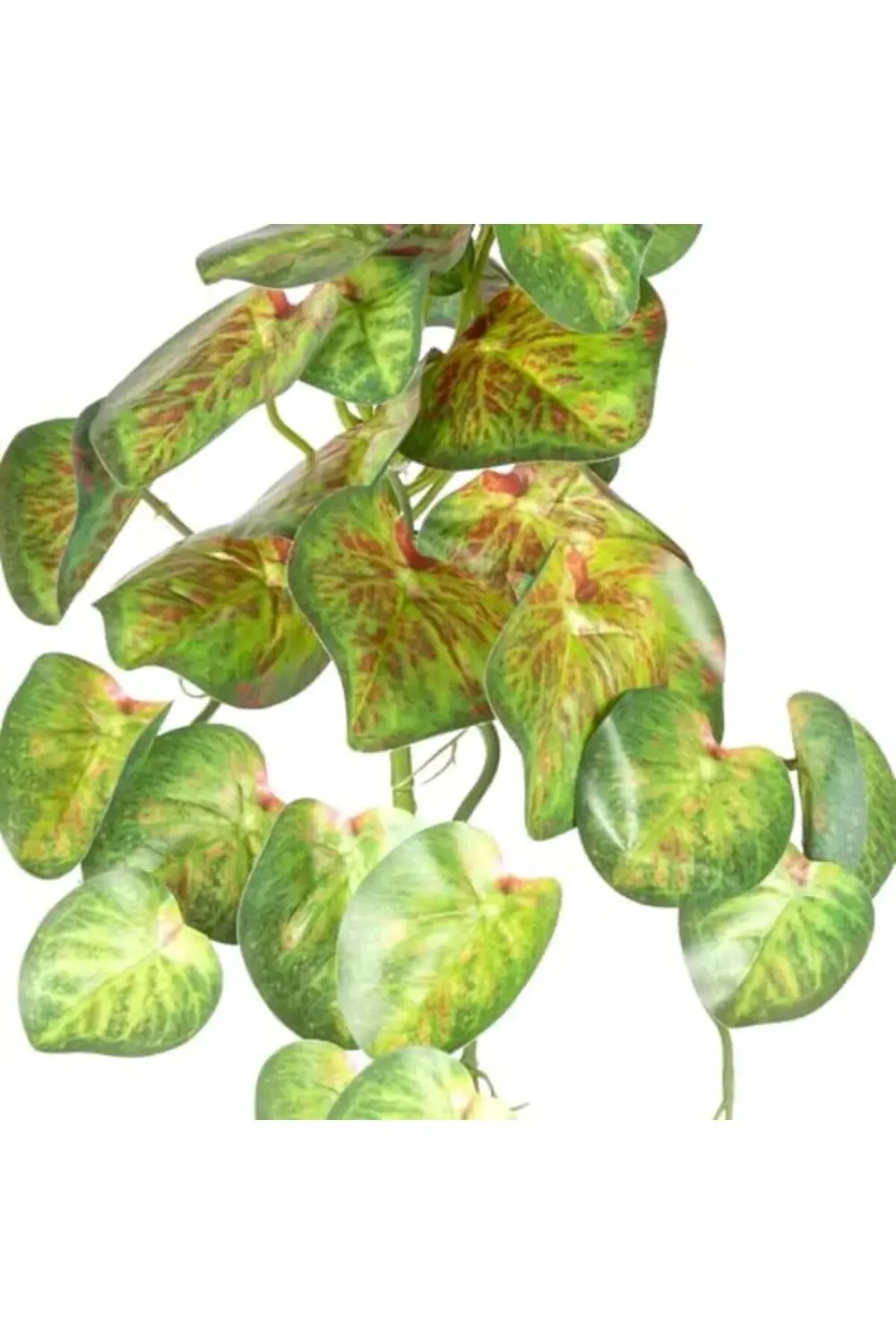 Yapay Bitki Salon Sarmaşığı Kızıl-Yeşil 35 Cm. 1200752