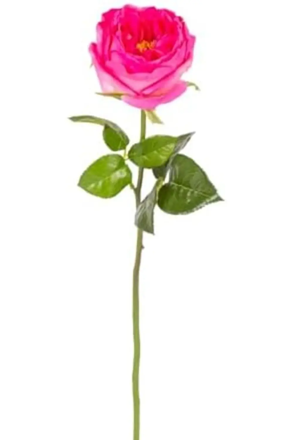 Yapay Çiçek Islak Dokulu Gül Fuşya 48 Cm. 1181191