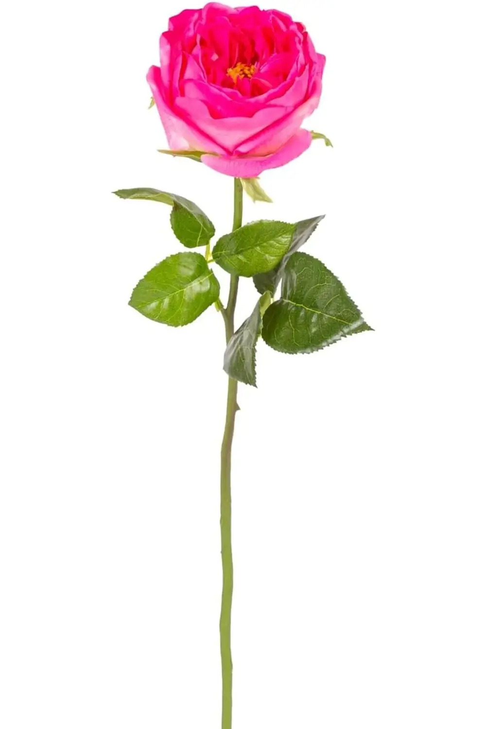 Yapay Çiçek Islak Dokulu Gül Fuşya 48 Cm. 1181191