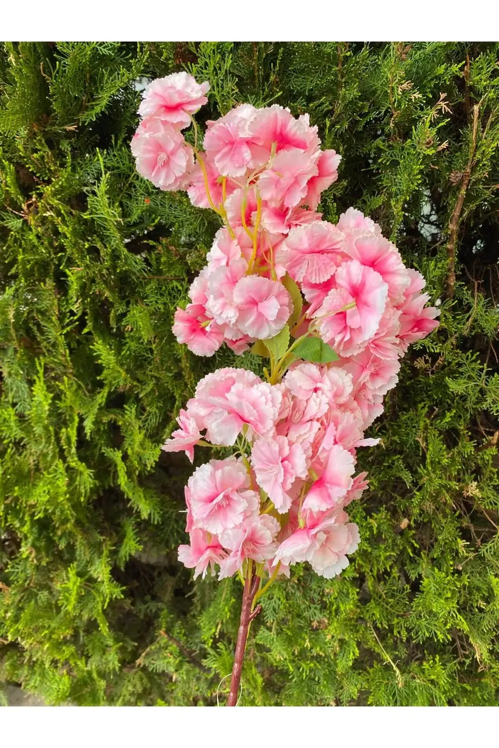 Yapay Dal Ortanca Tek Dal