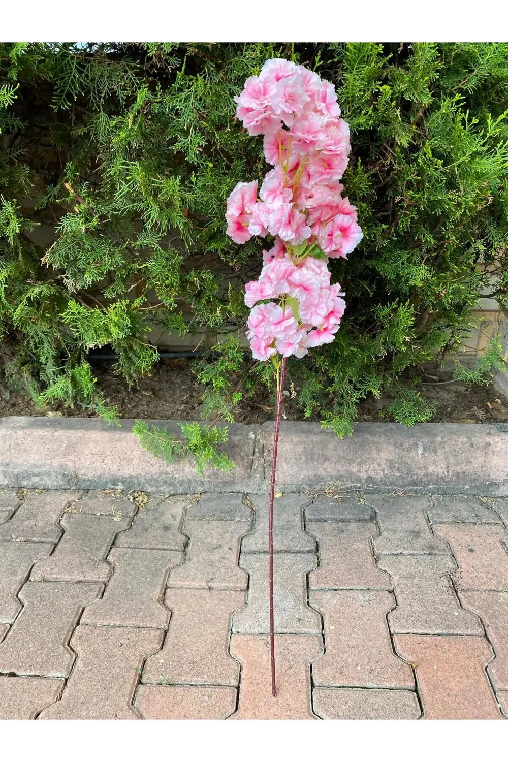 Yapay Dal Ortanca Tek Dal