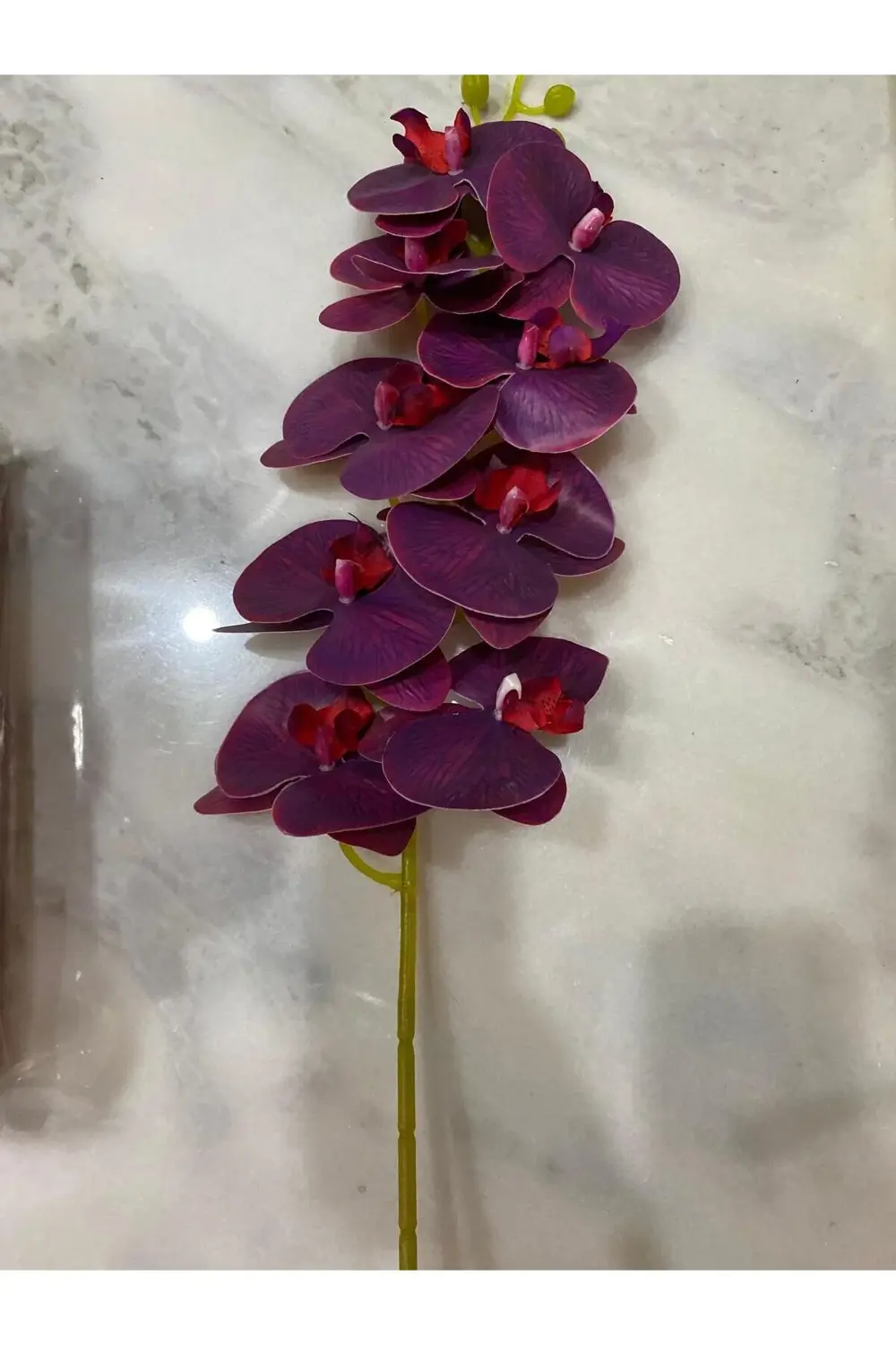 Yapay Orkide Tek Dal 88 Cm