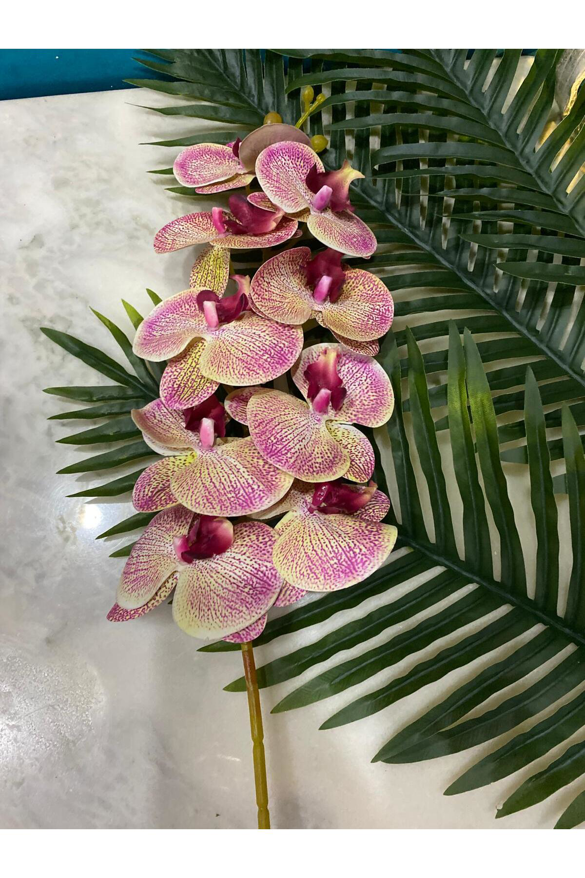 Elif Aksesuar Yapay Orkide Tek Dal Ebruli 88 Cm