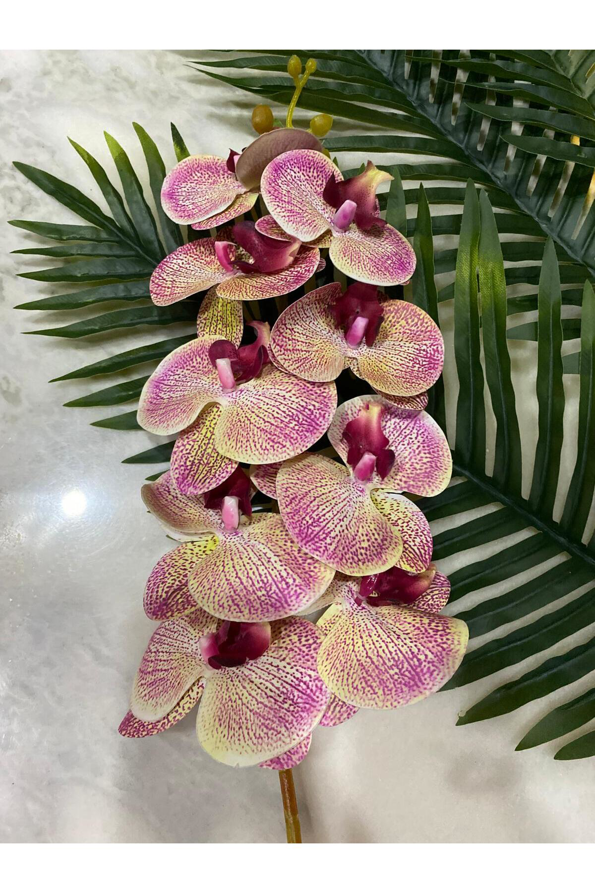 Elif Aksesuar Yapay Orkide Tek Dal Ebruli 88 Cm