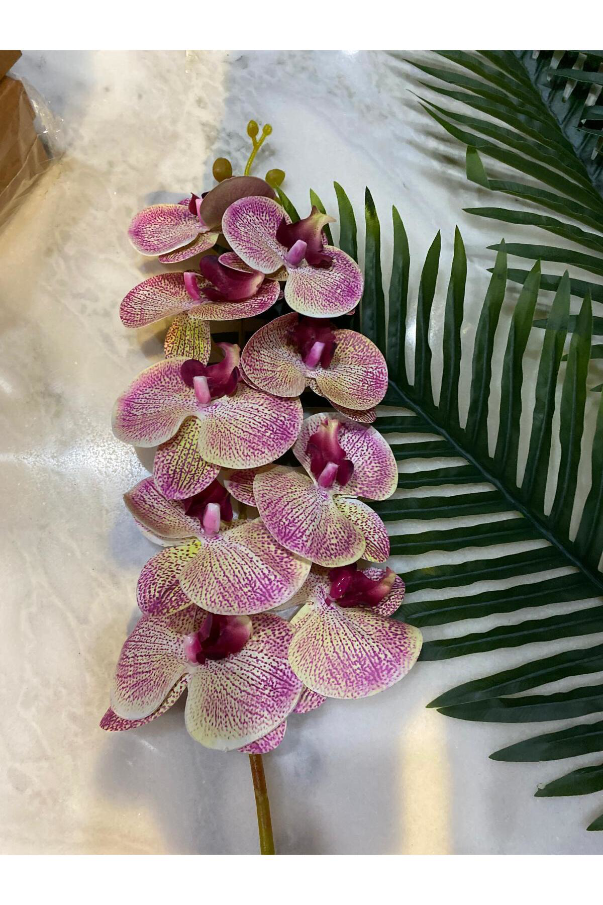 Elif Aksesuar Yapay Orkide Tek Dal Ebruli 88 Cm