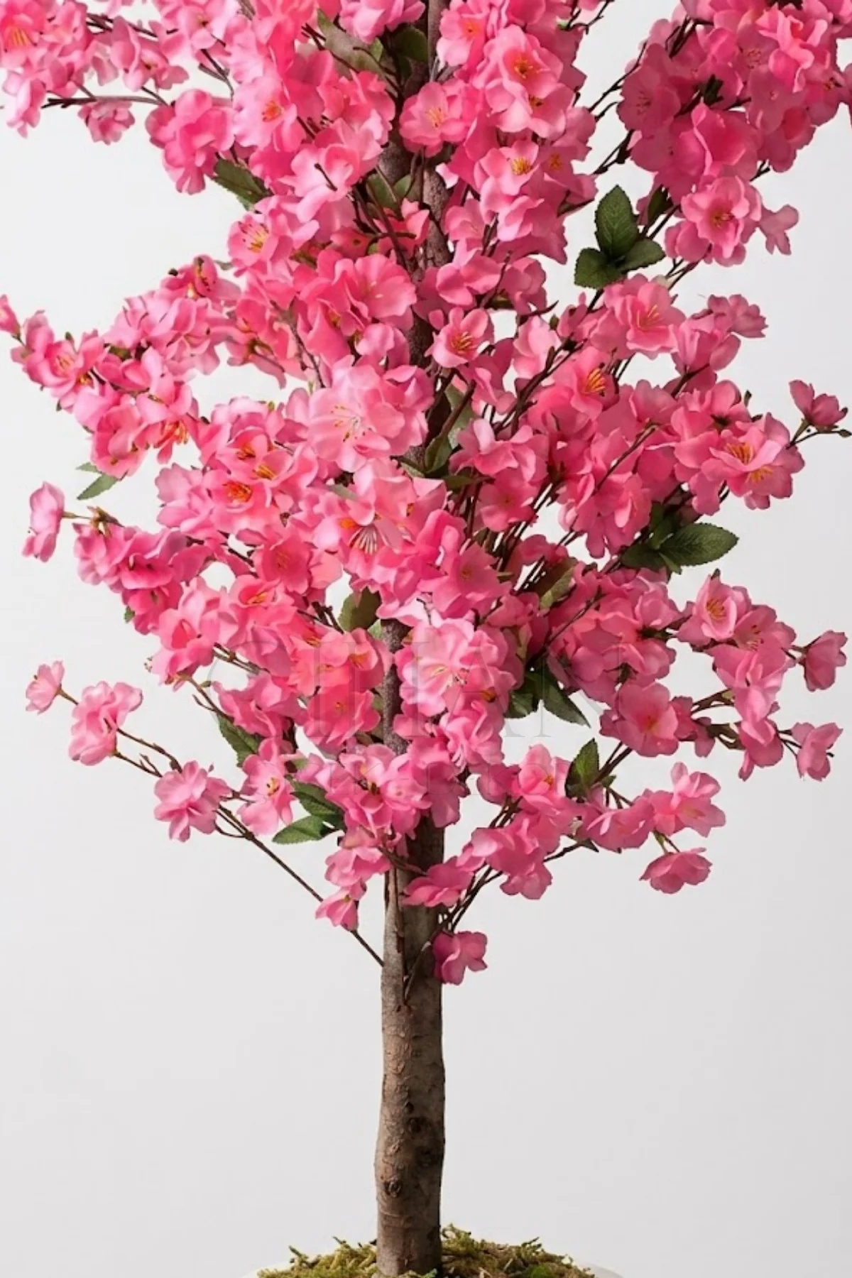 Yapay Pembe Bahar Dalı Ağacı 160 cm - Beyaz Küre Saksılı
