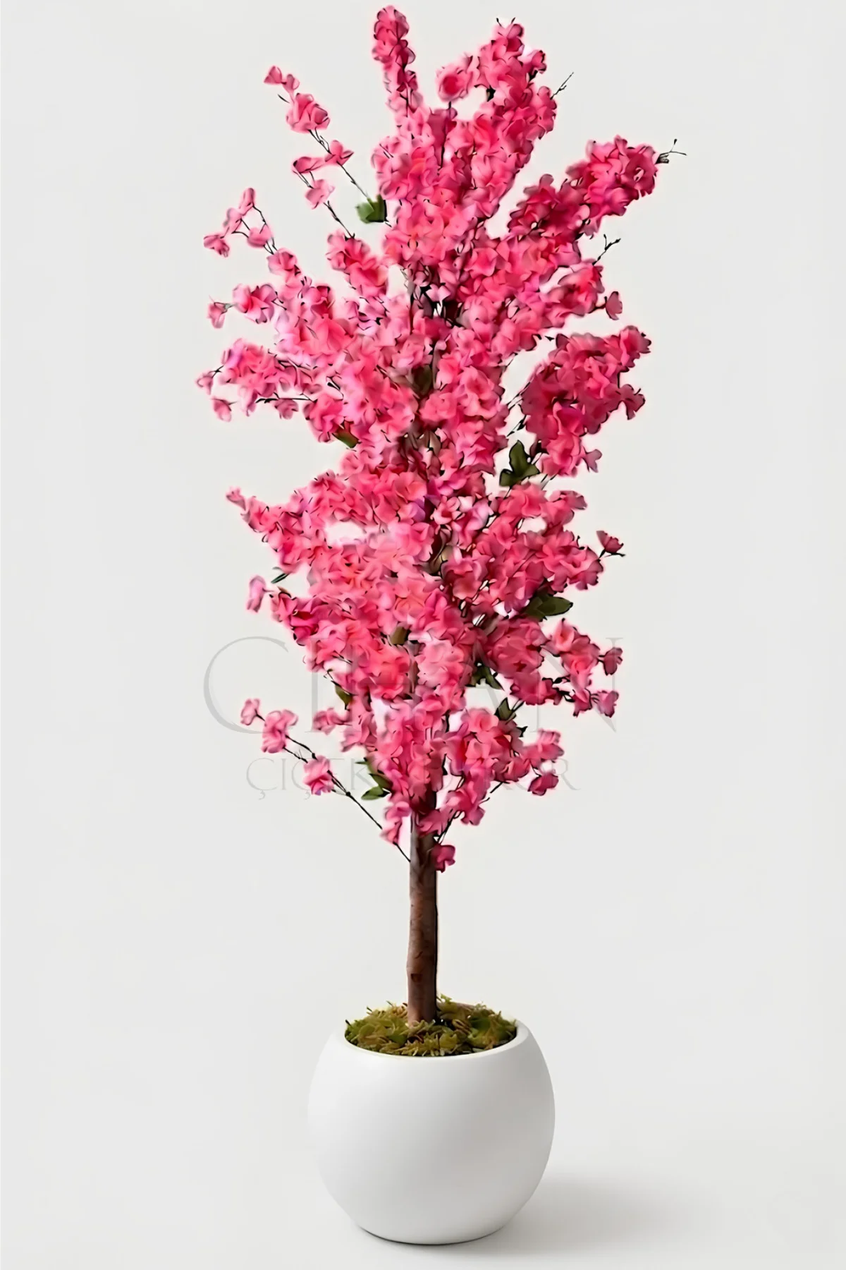Yapay Pembe Bahar Dalı Ağacı 160 cm - Beyaz Küre Saksılı