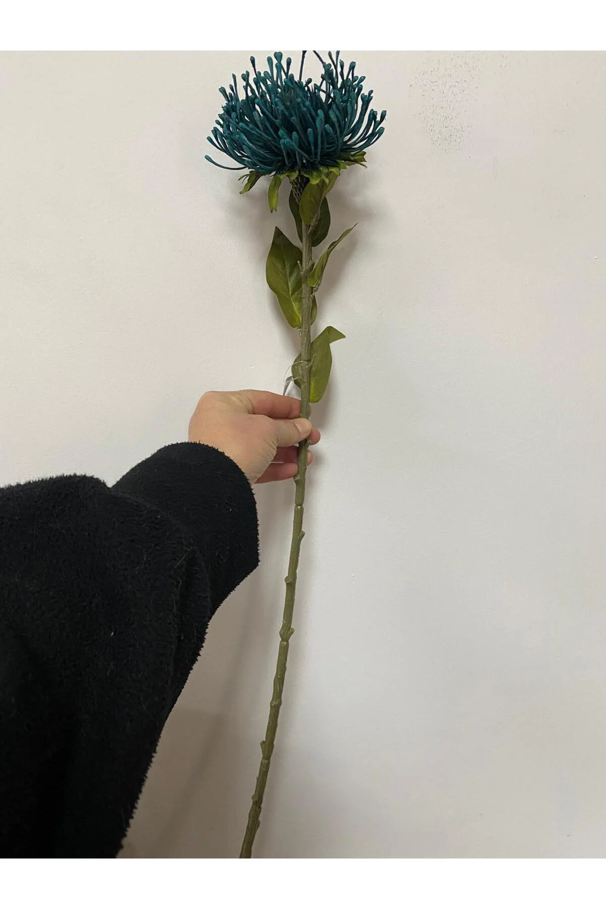 Yapay Protea Çiçeği Tek Dal 73 Cm Yapay Protea Çiçeği Tek Dal 73 Cm - Görsel 2