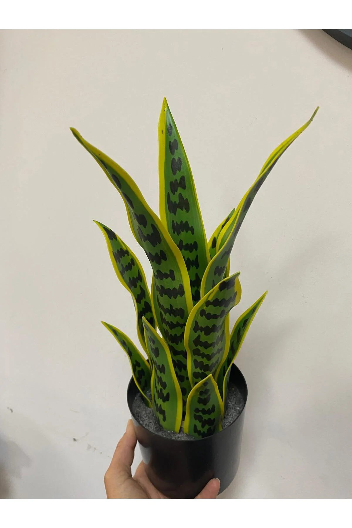 Yapay Saksılı Sansevıera Çiçeği 39 cm Yapay Saksılı Sansevıera Çiçeği 39 cm - Görsel 2
