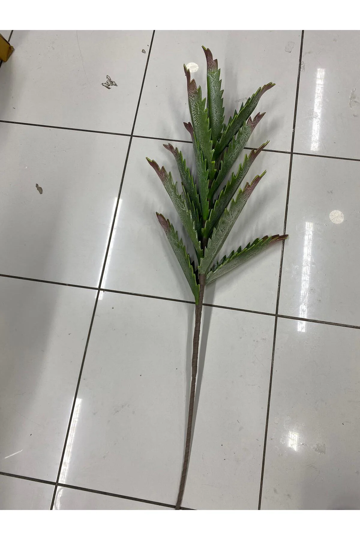 Yapay Sukulent Botonik Dal 123cm Yapay Sukulent Botonik Dal 123cm