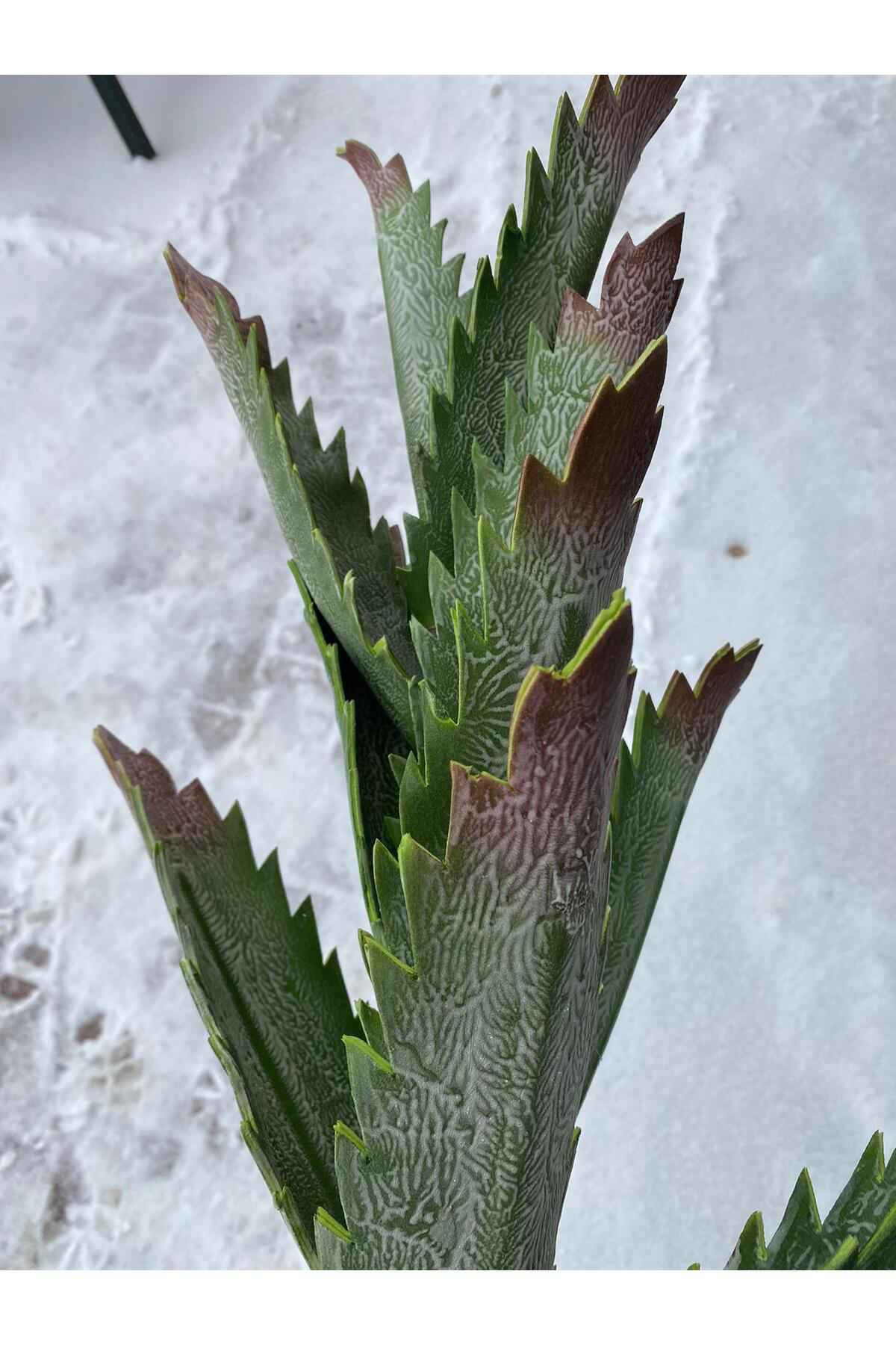 Elif Aksesuar Yapay Sukulent Botonik Dal 123Cm