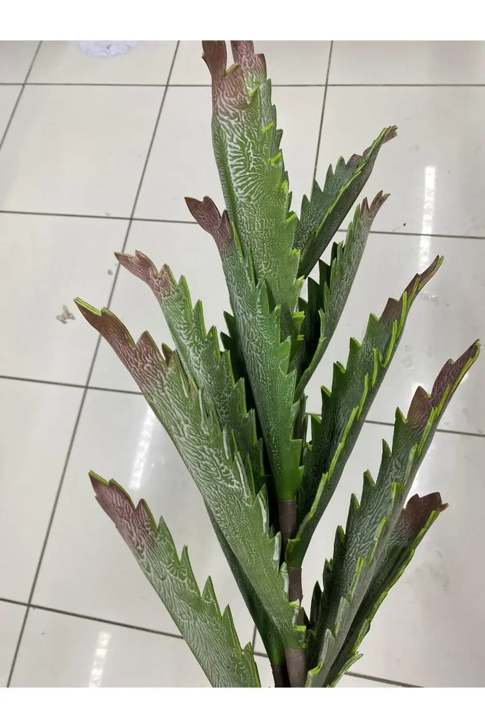 Yapay Sukulent Botonik Dal 123cm