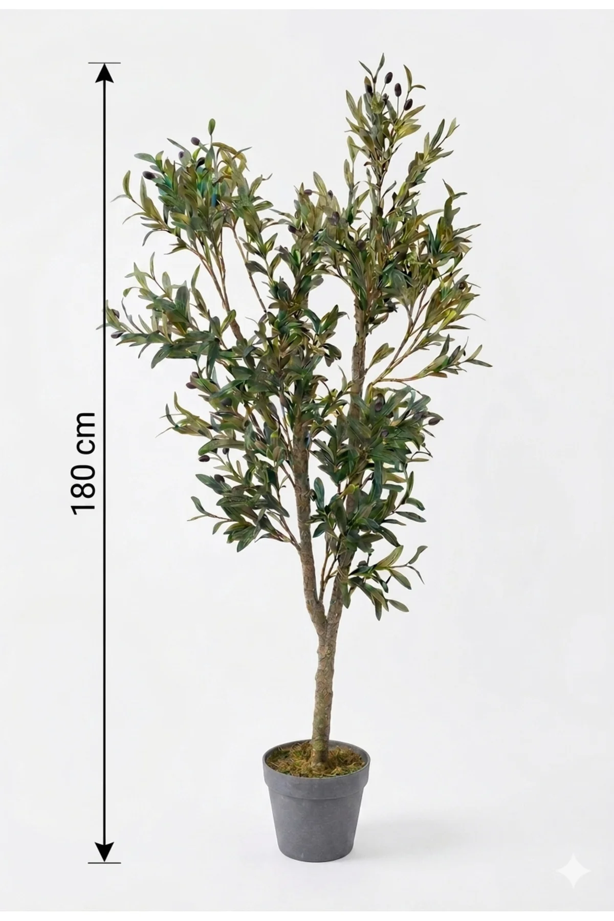 Yapay Zeytin Ağacı 180 cm Plastik Saksılı Büyük Boy Doğal Gövdeli Yapay Çiçek Salon Çiçeği Yapay Zeytin Ağacı 180 cm Plastik Saksılı Büyük Boy Doğal Gövdeli Yapay Çiçek Salon Çiçeği