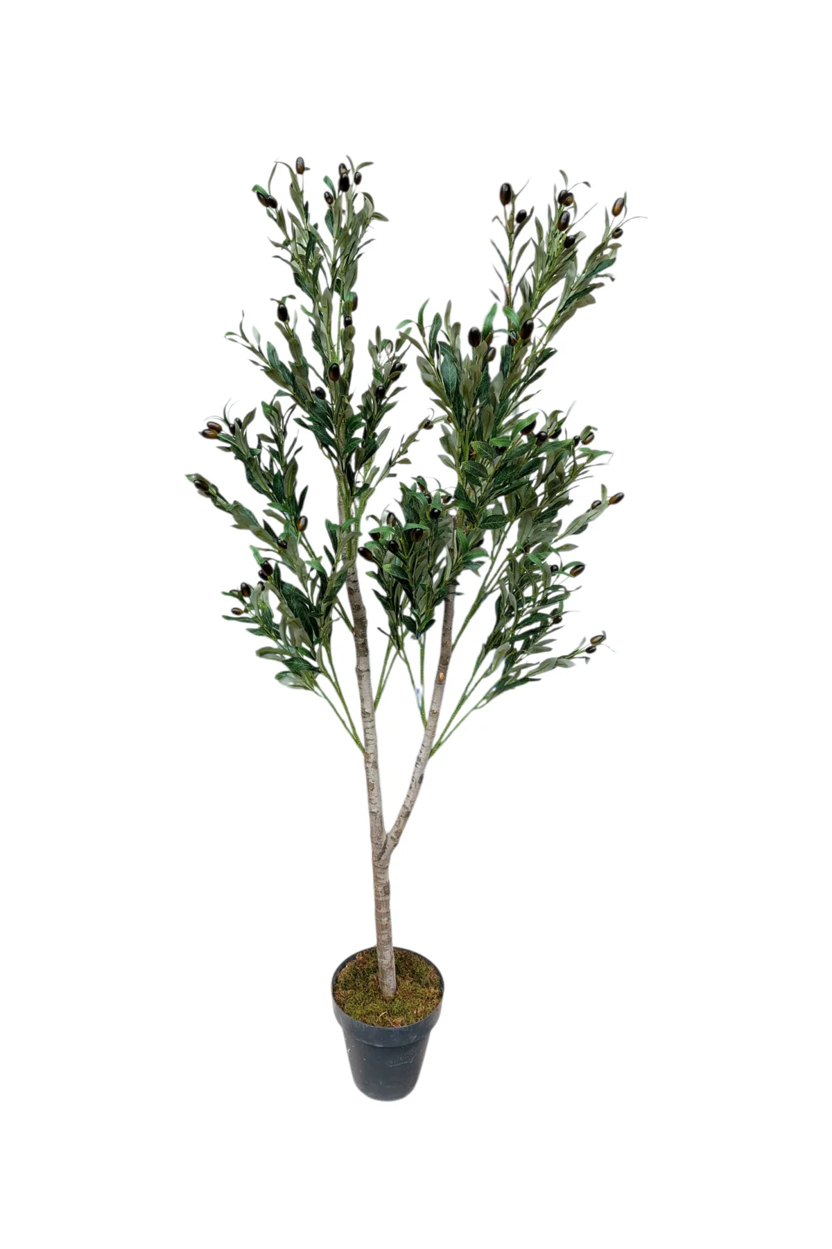 Yapay Zeytin Ağacı 150 Cm Boyunda Dekoratif Modern İç Mekan Salon Yapay Zeytin Ağacı 150 Cm Boyunda Dekoratif Modern İç Mekan Salon