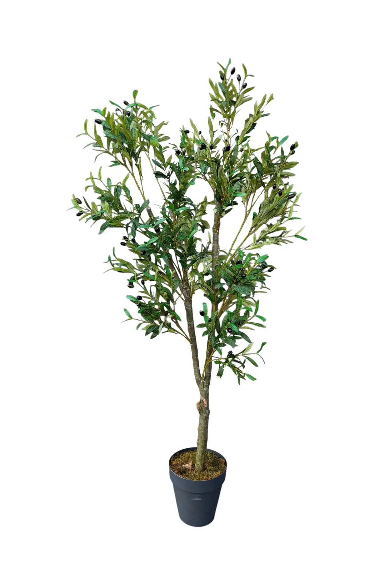 Yapay Zeytin Ağacı 170 Cm Boyunda Dekoratif Modern İç Mekan Salon