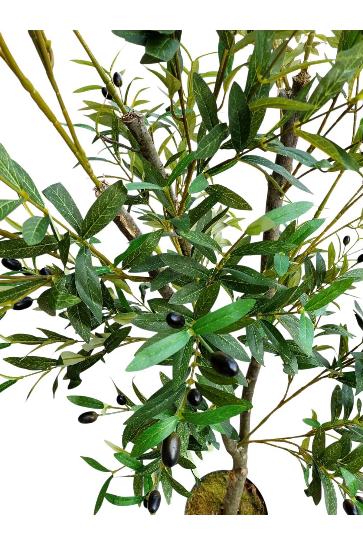 Yapay Zeytin Ağacı 170 Cm Boyunda Dekoratif Modern İç Mekan Salon