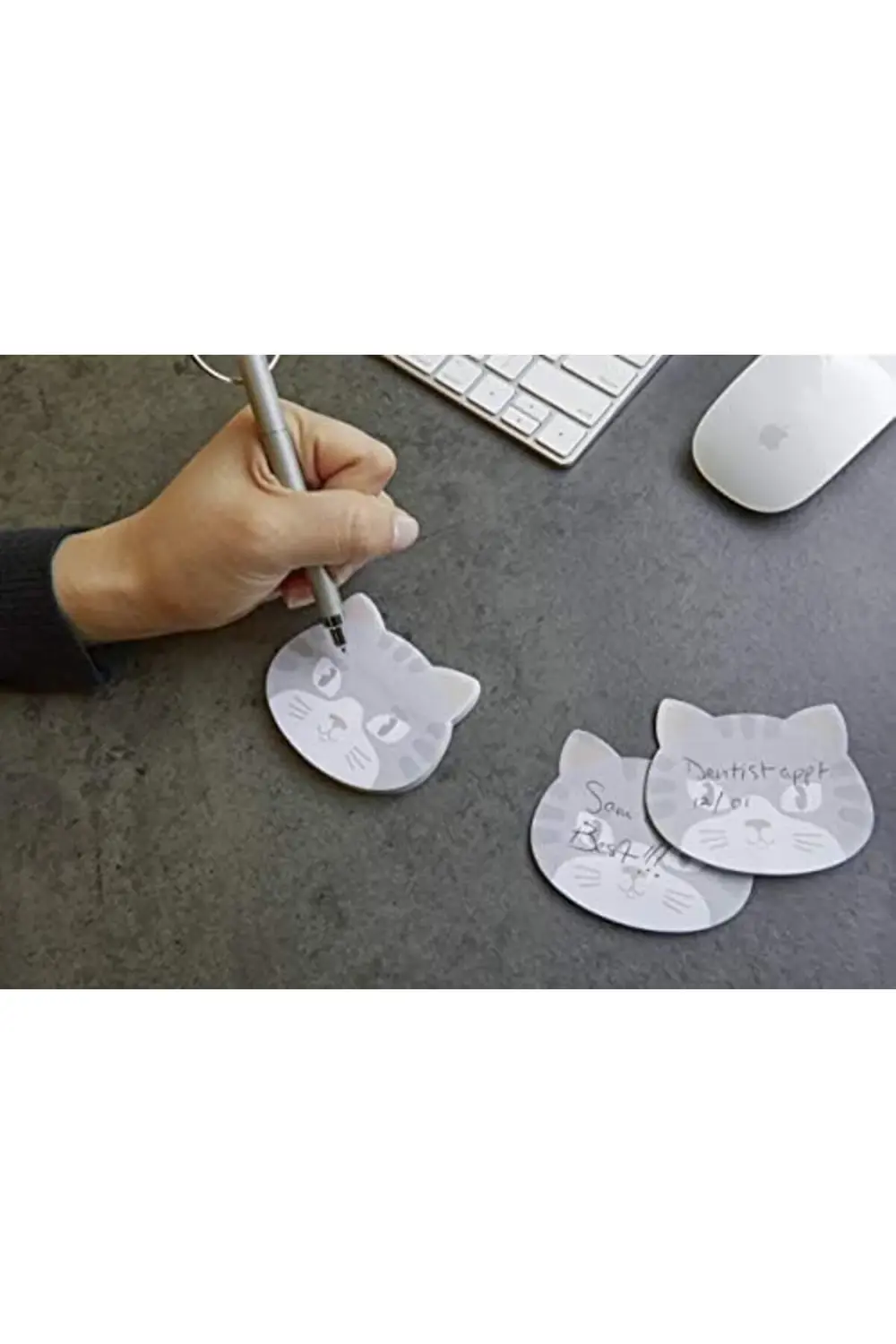 Yapışkanlı Notluk Kedi 395519