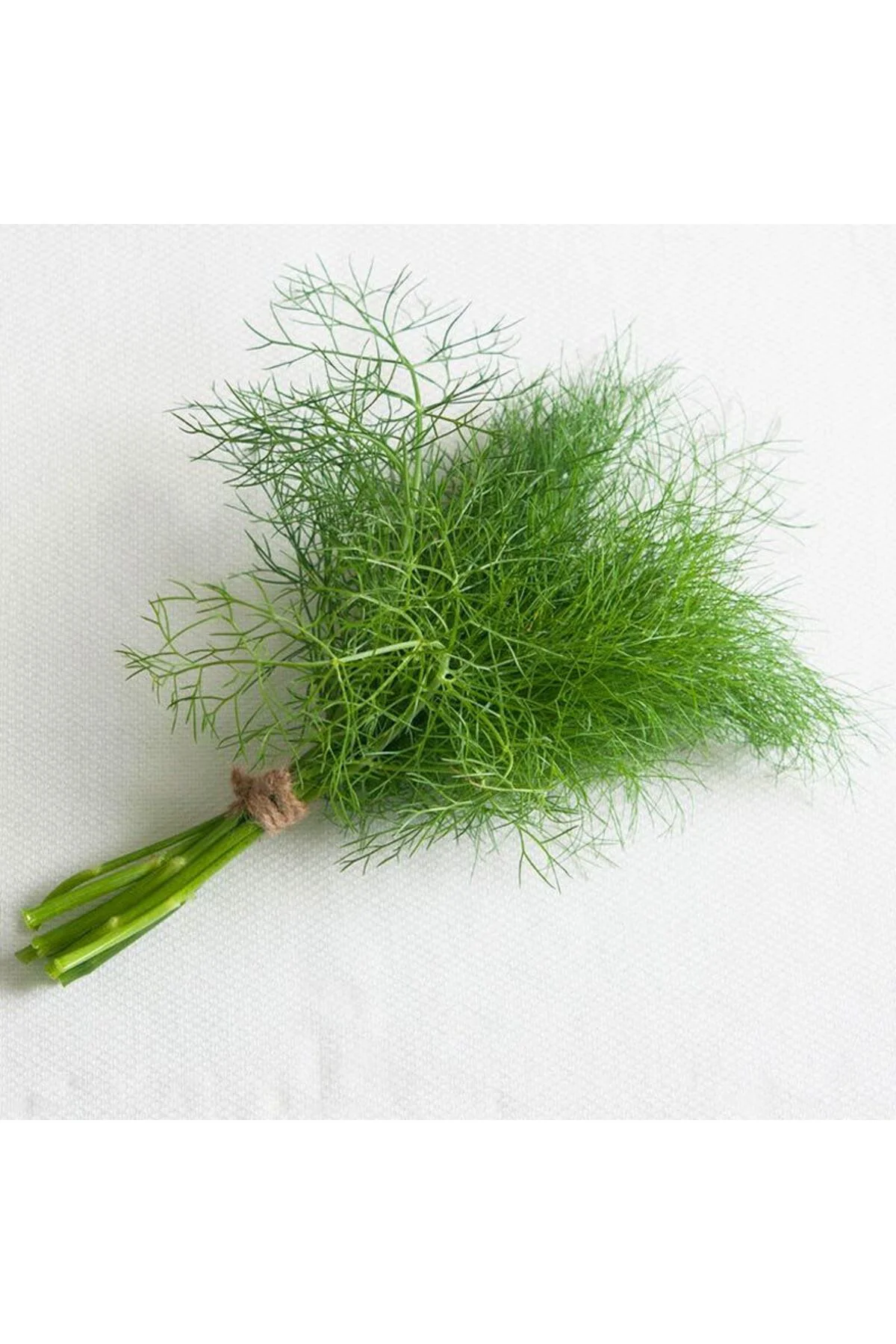 Yaprak rezene tohumu grosfruchtiger leaf fennel Fiyatı, Yorumları ve Özellikleri