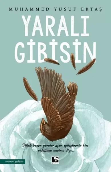Yaralı Gibisin Fiyatı, Yorumları ve Özellikleri