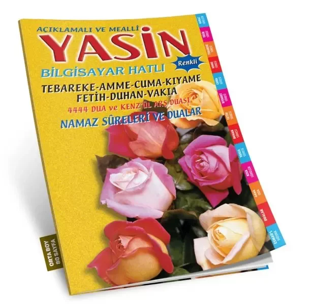 Yas Tutan Beyin