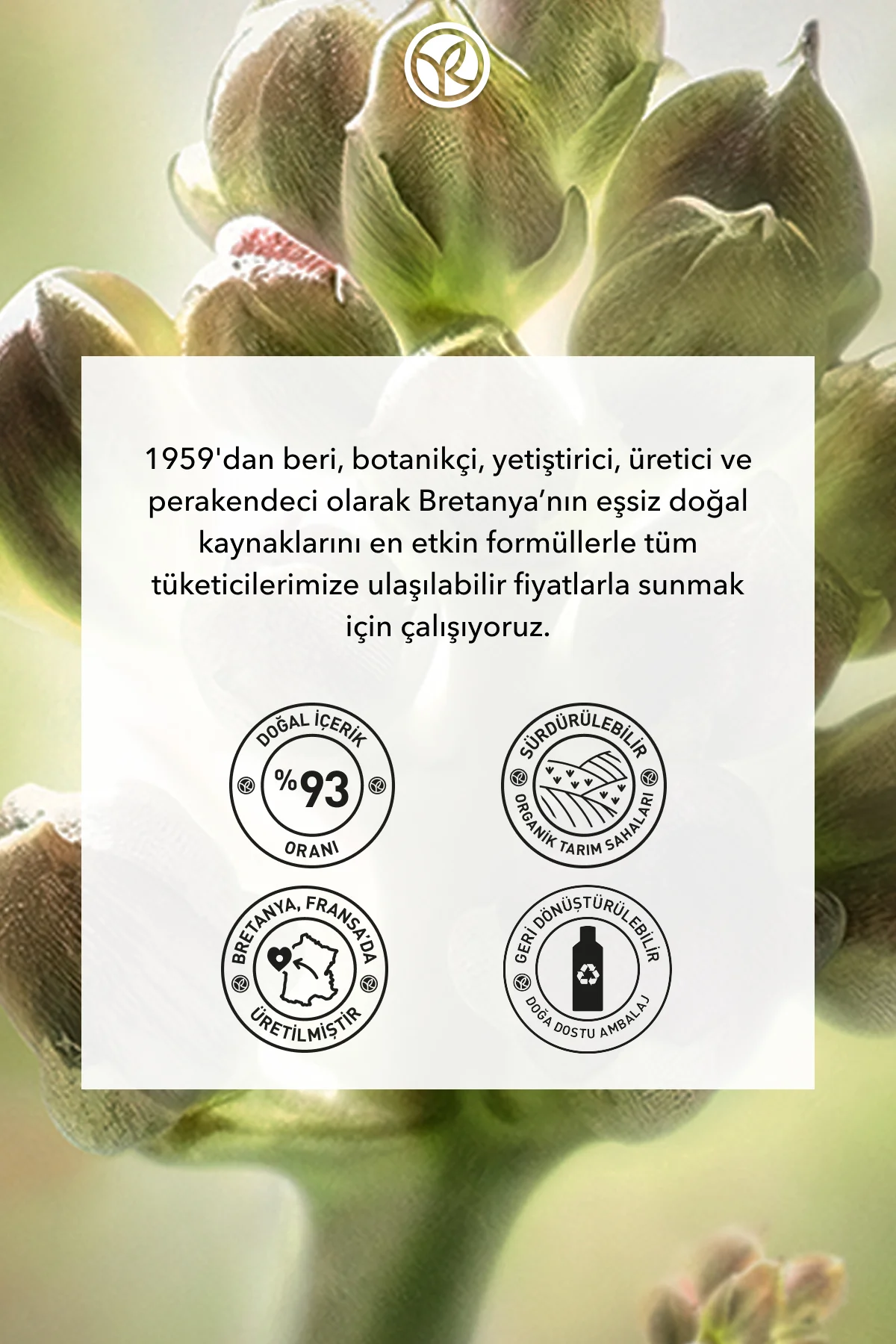 Yaşlanma Karşıtı Bitkisel Kök Hücre Bakımı Anti-Age Global-Hyaluronik Asit&Pantenol-Gündüz Kremi
