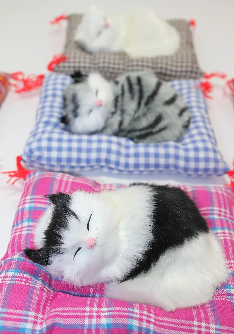 Yastıkta Uyuyan Kedi Sesli Alk24 Yastıkta Uyuyan Kedi Sesli Alk24