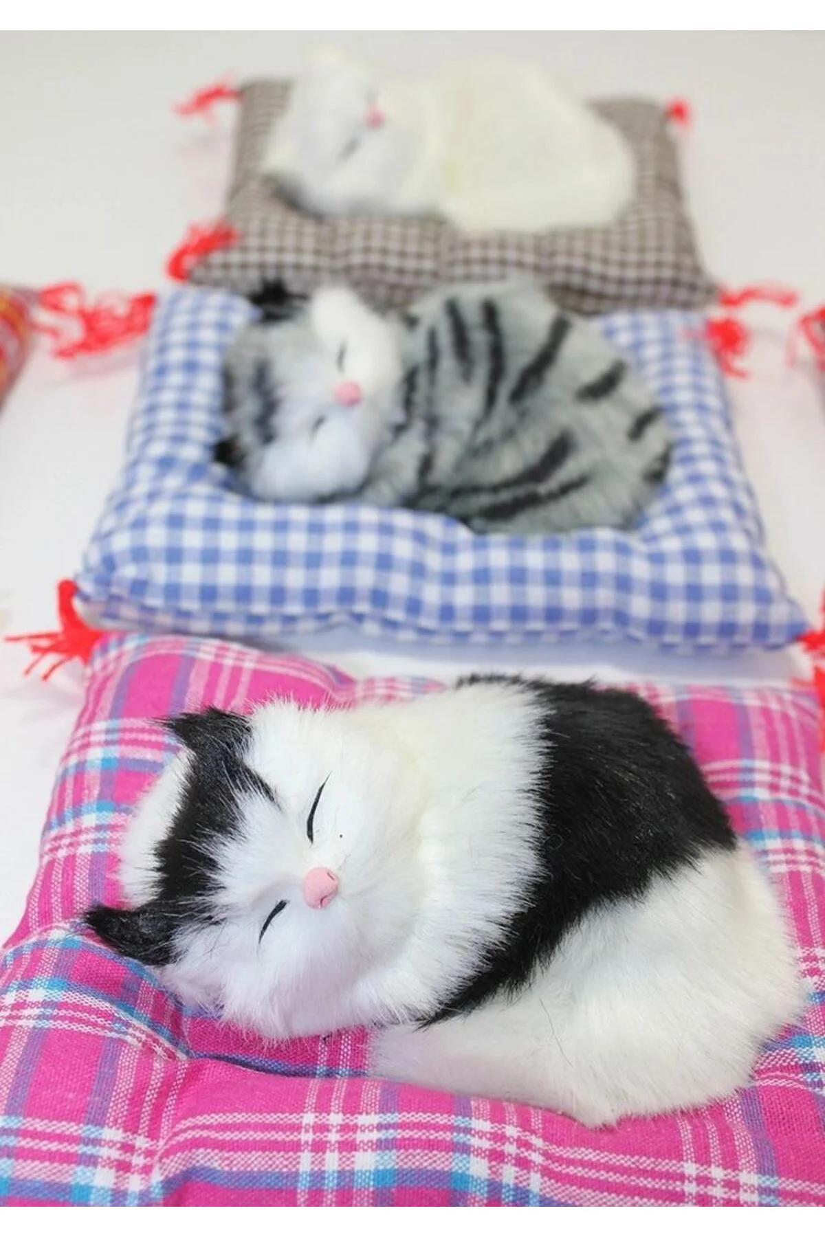 Yastıkta Uyuyan Kedi Sesli Alk24