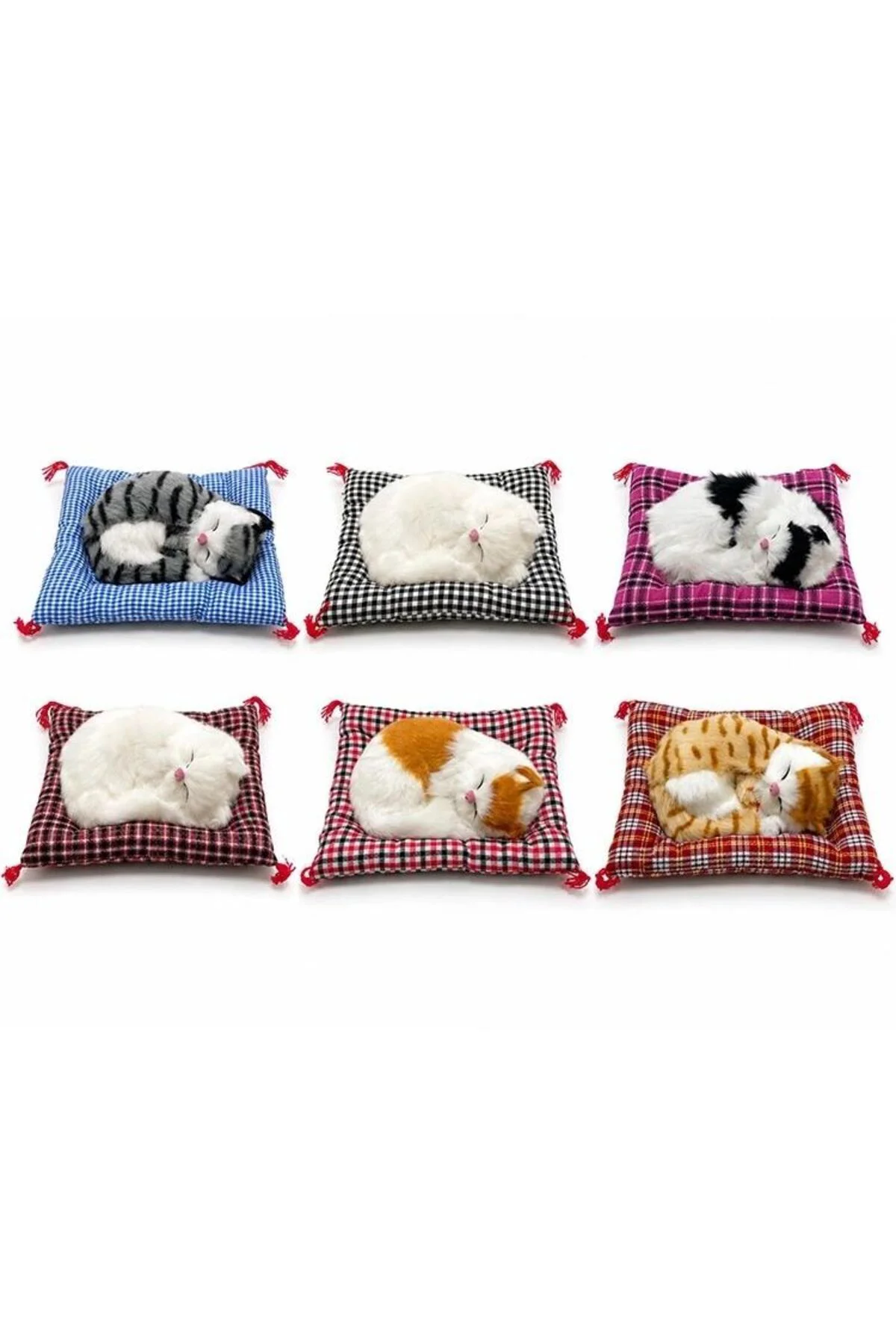 Yastıkta Uyuyan Kedi Sesli Alk24