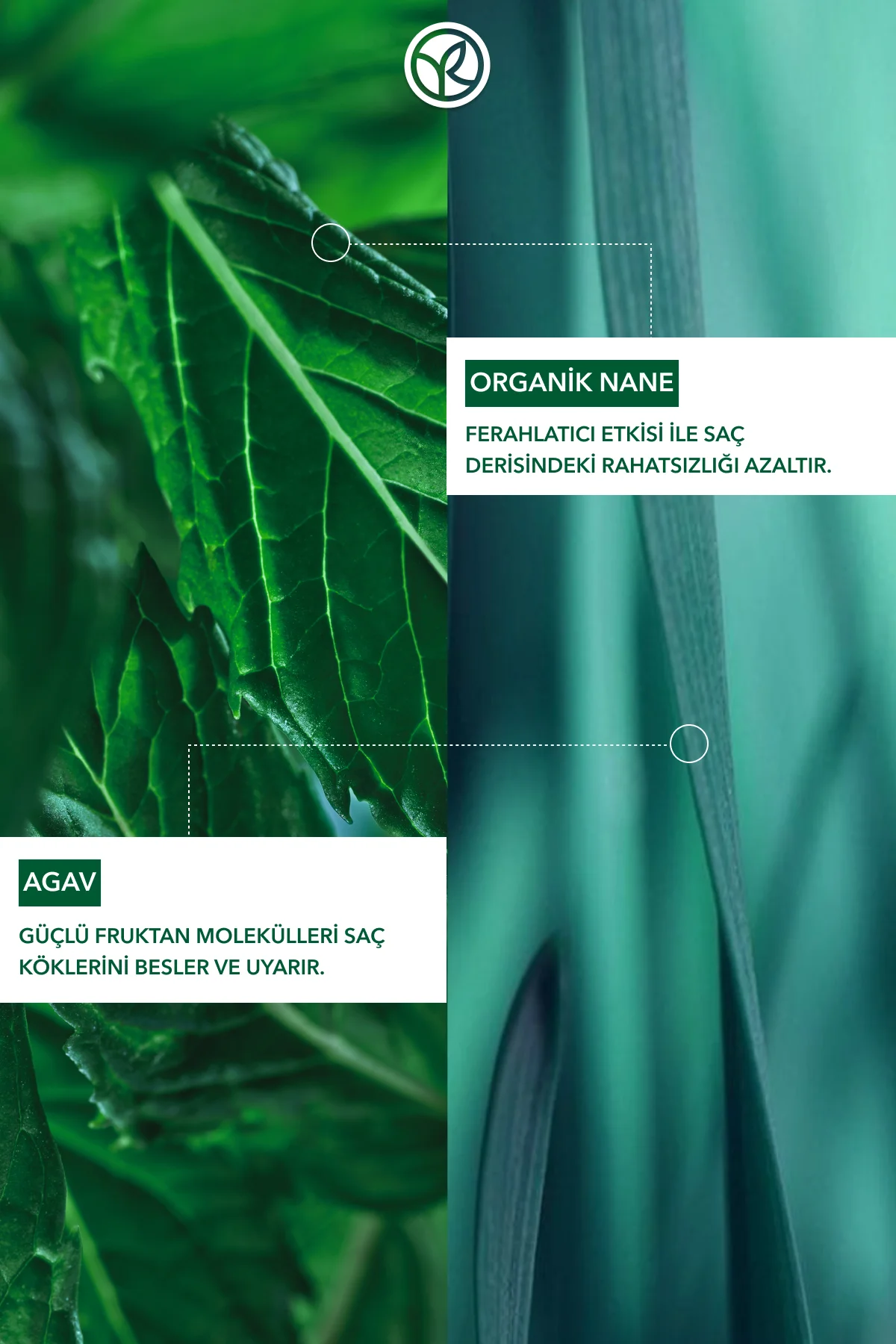 Yatıştırıcı Prebiyotik Saç Losyonu - Kepeğe Karşı / Anti Pellicul