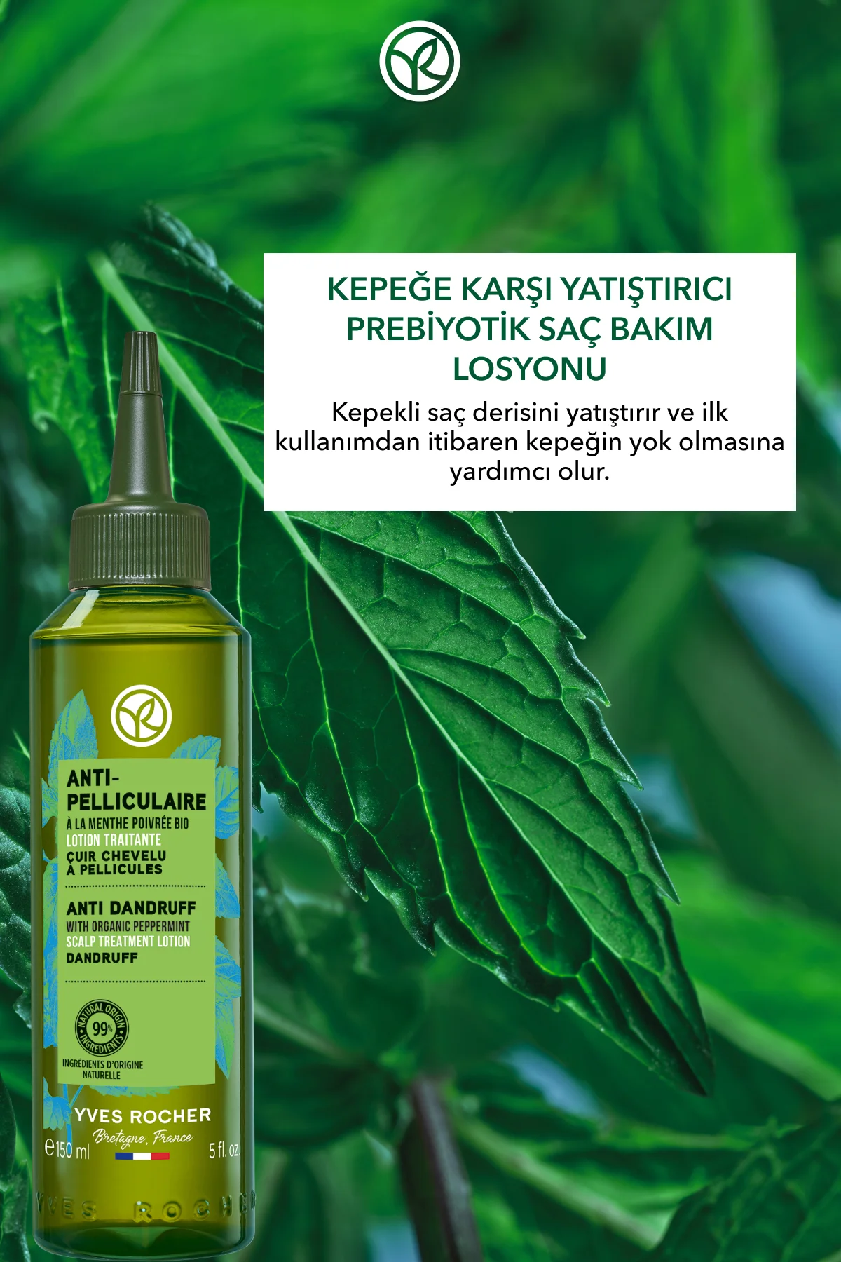 Yatıştırıcı Prebiyotik Saç Losyonu - Kepeğe Karşı / Anti Pellicul