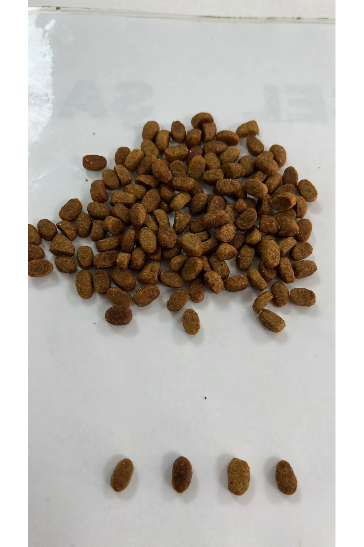 Yavru Kedi Kuru Maması Tavuklu 15 Kg