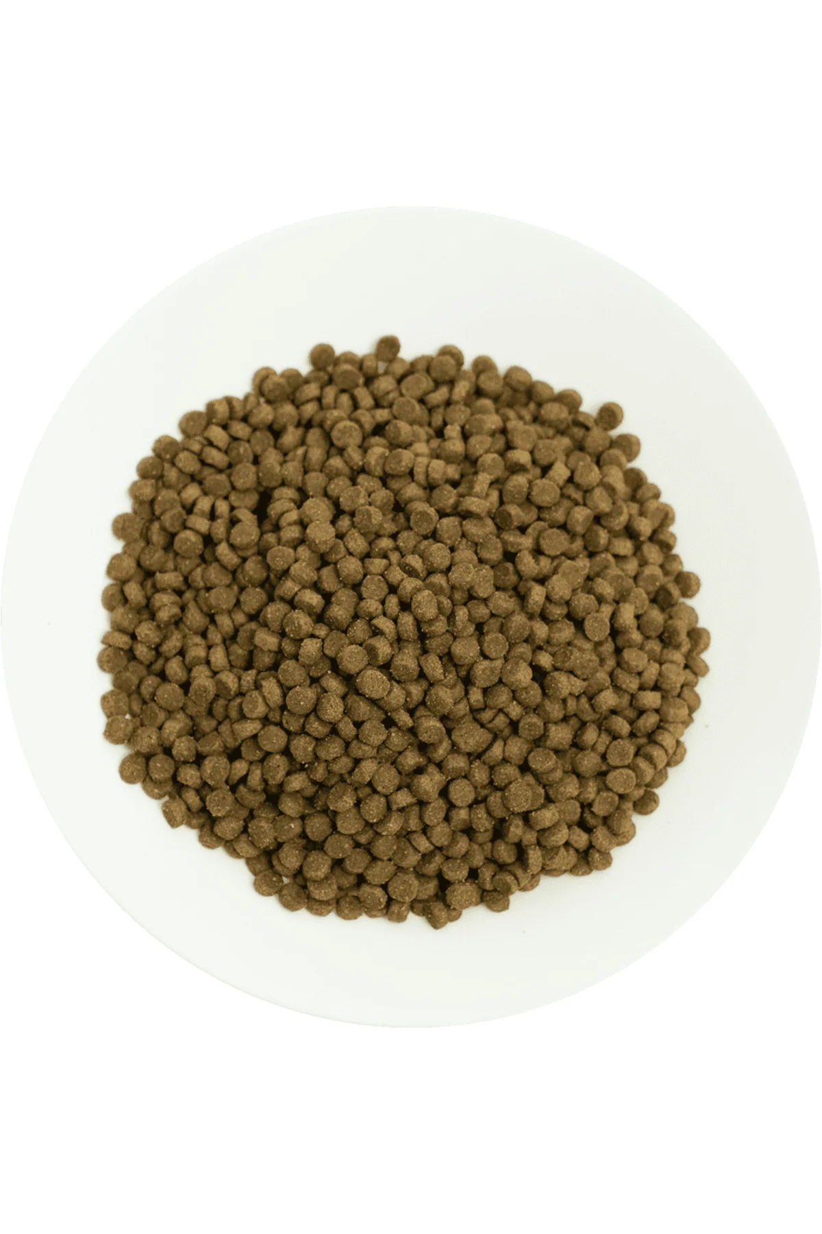 Yavru Kediler İçin, Hipoalerjenik, Kuzu Etli Ve Pirinçli Kuru Mama 2 kg Yavru Kediler İçin, Hipoalerjenik, Kuzu Etli Ve Pirinçli Kuru Mama 2 kg - Görsel 3