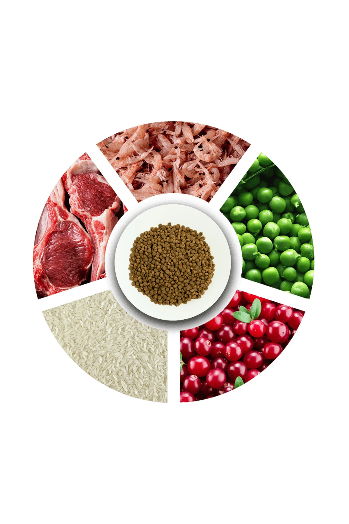 Yavru Kediler İçin, Hipoalerjenik, Kuzu Etli Ve Pirinçli Kuru Mama 2 kg Yavru Kediler İçin, Hipoalerjenik, Kuzu Etli Ve Pirinçli Kuru Mama 2 kg - Görsel 4