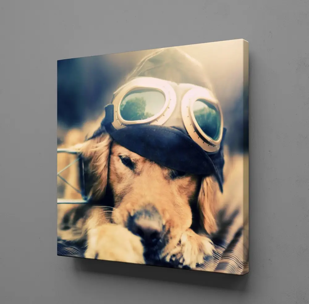 YAVRU KÖPEK KANVAS TABLO YAVRU KÖPEK KANVAS TABLO