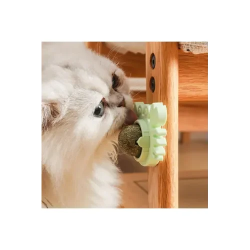Yengeç Kedi Otu Oyun Topu Fiyatı, Yorumları ve Özellikleri
